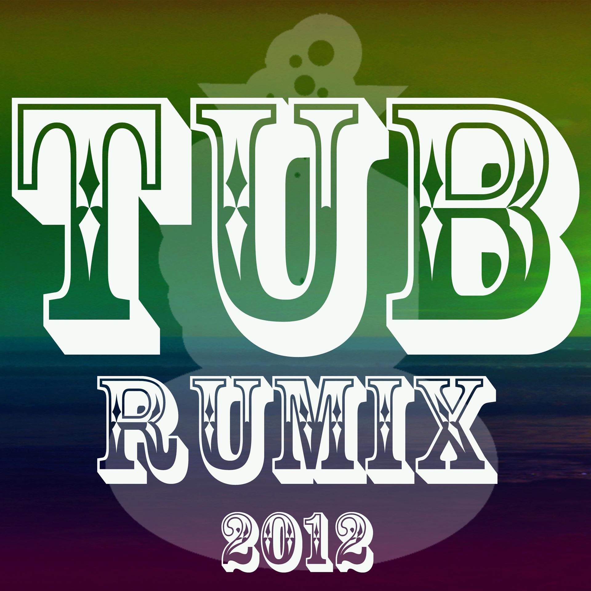 Постер альбома Tub Rumix 2012 - EP