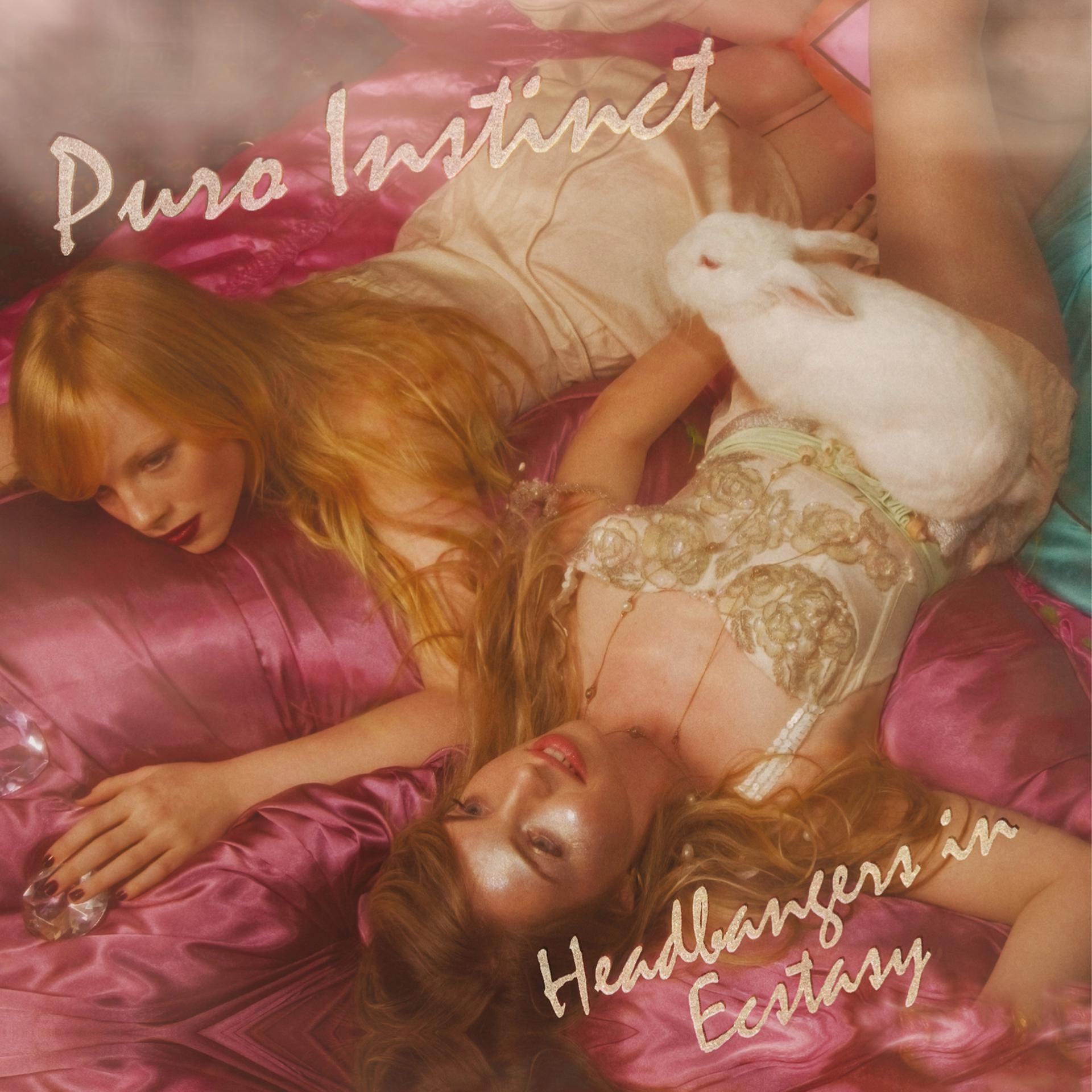 Постер альбома Headbangers in Ecstasy