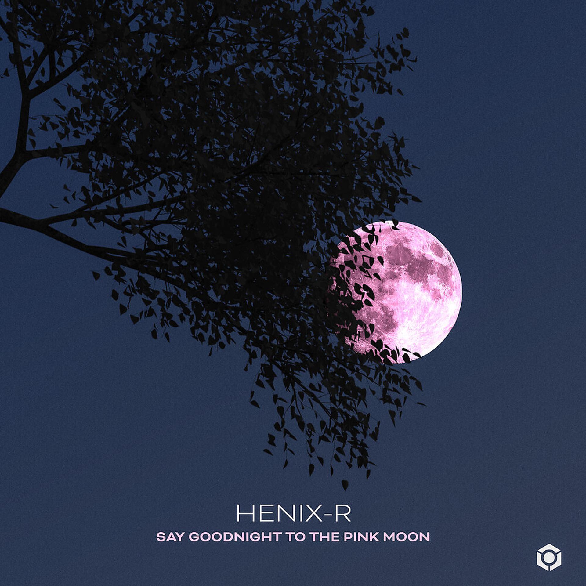 Постер альбома Say Goodnight to the Pink Moon