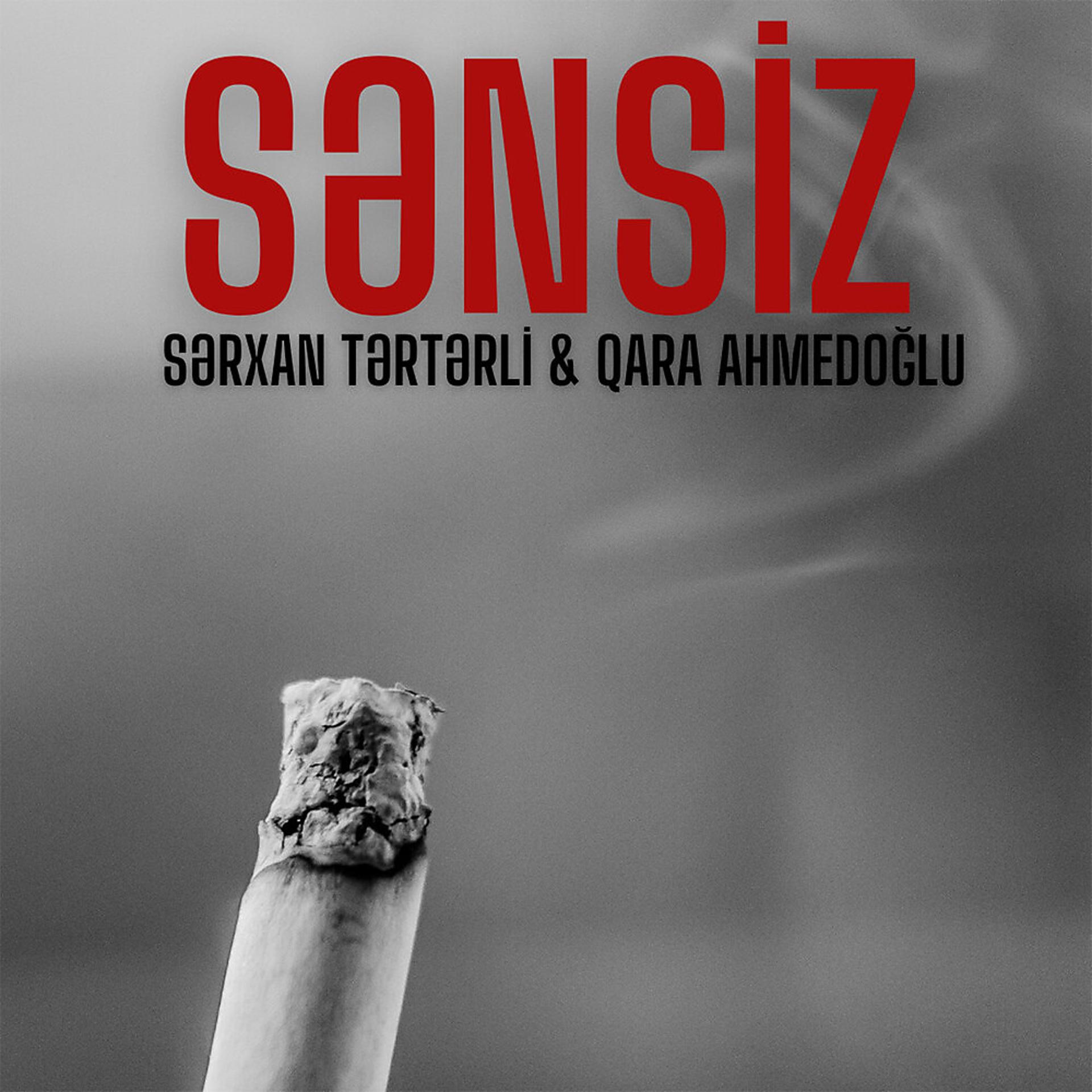 Постер альбома Sənsiz