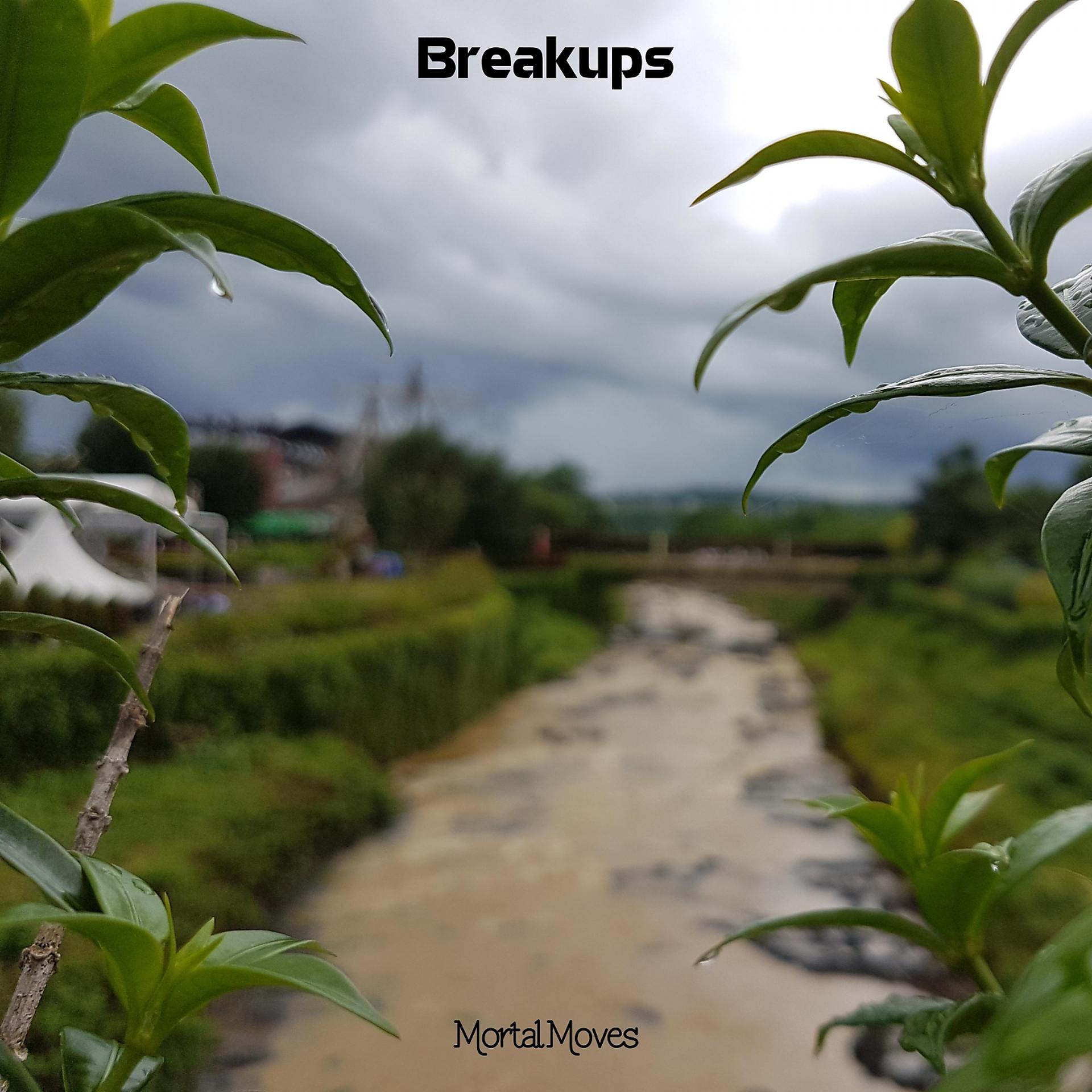 Постер альбома Breakups