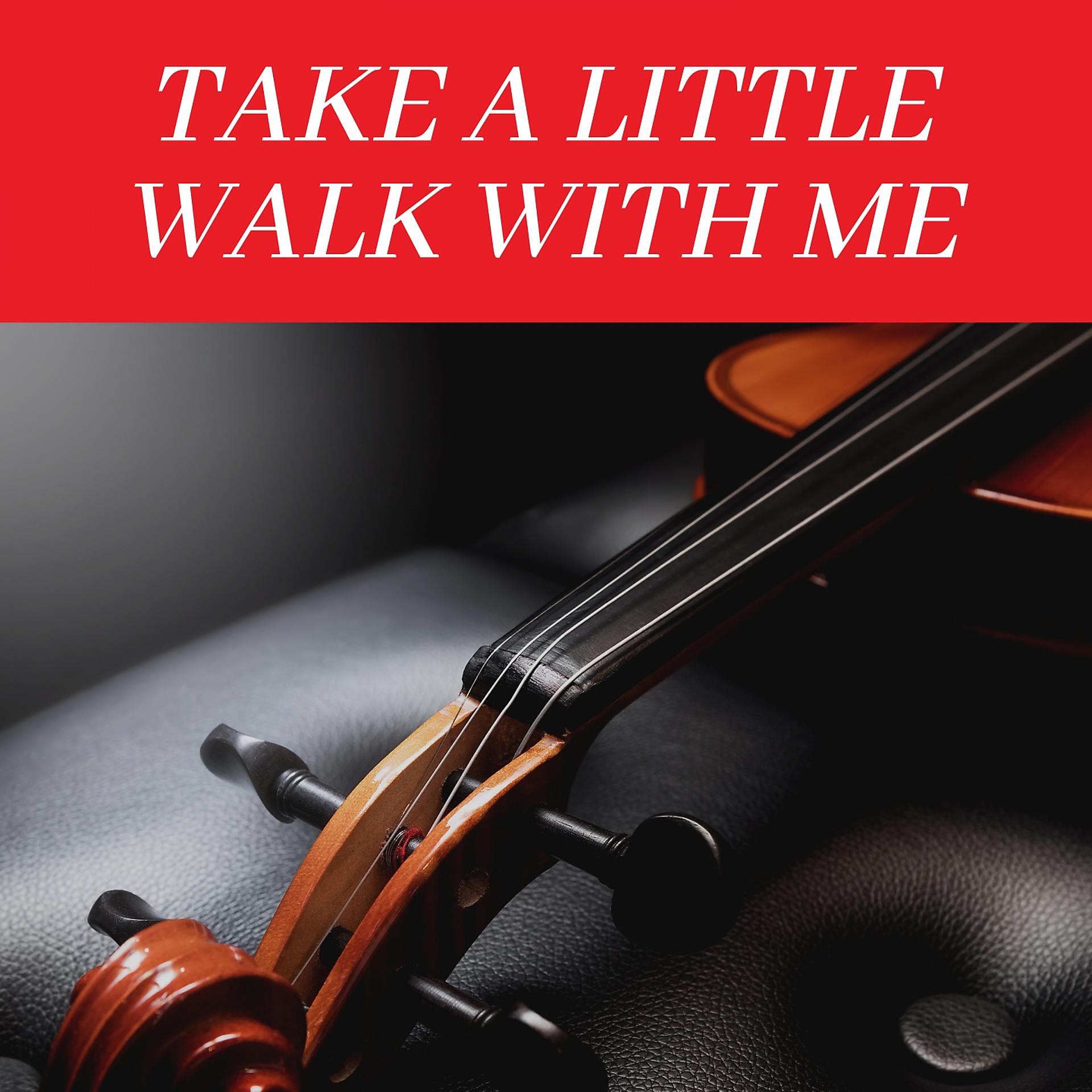 Постер альбома Take a Little Walk with Me