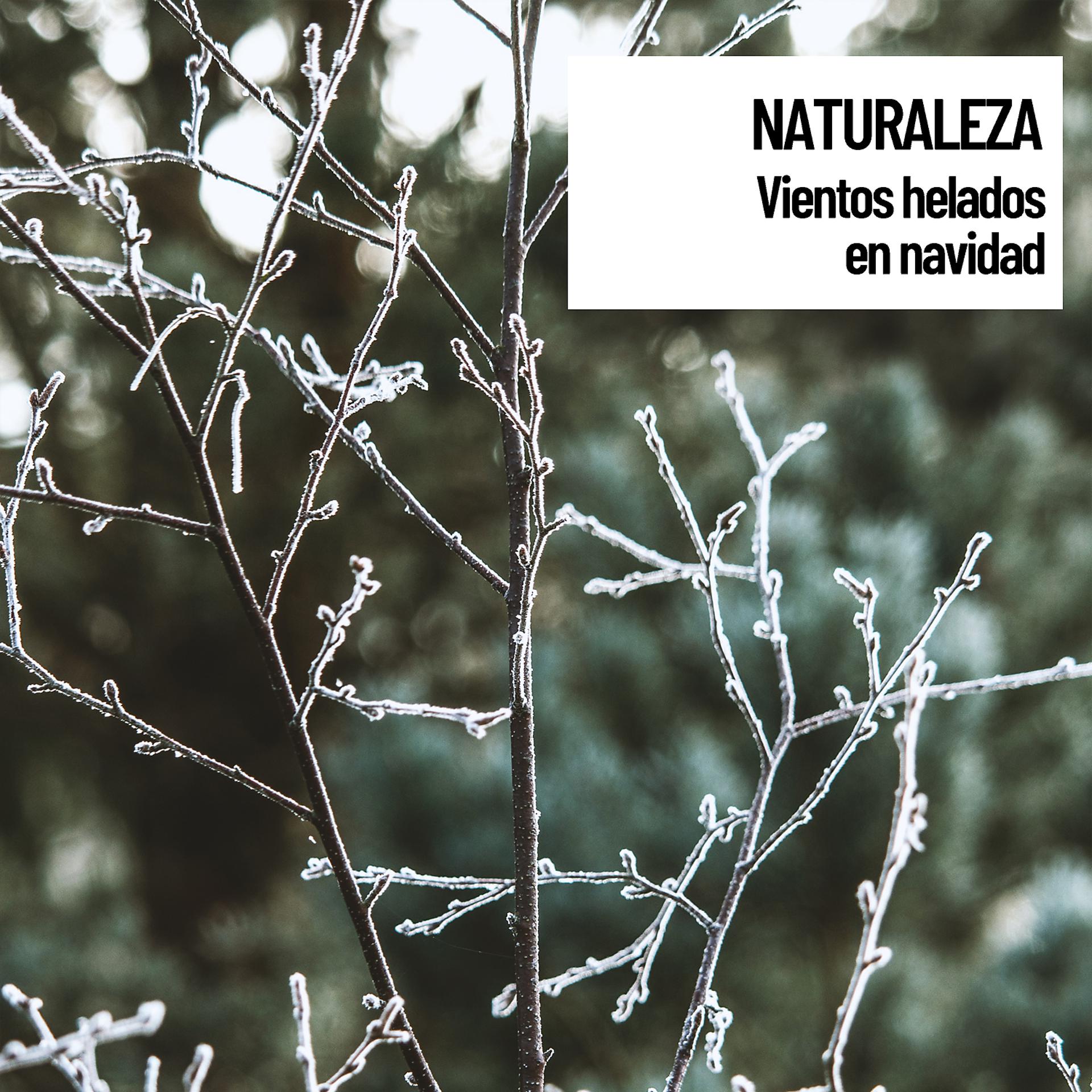 Постер альбома Naturaleza: Vientos helados en navidad