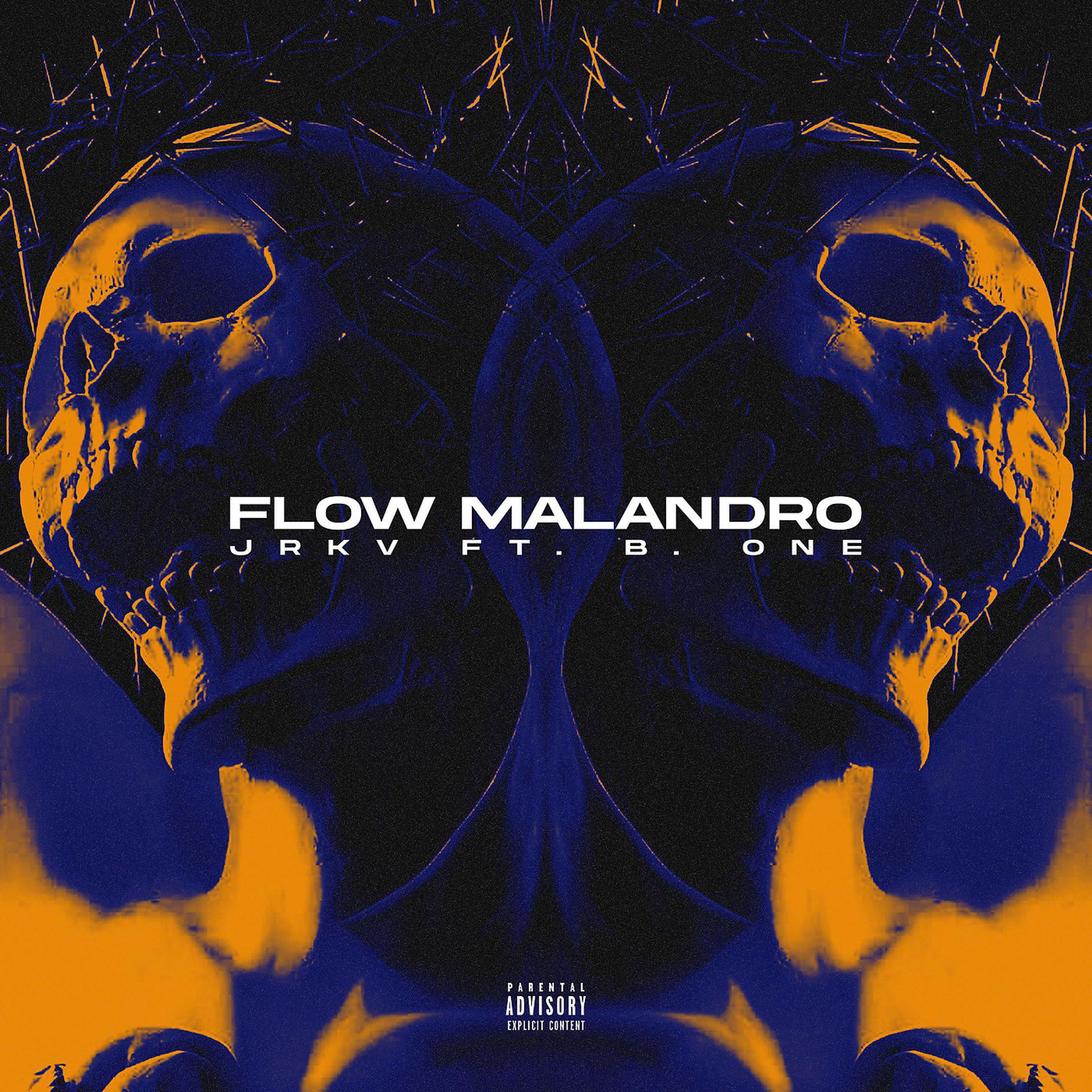 Постер альбома Flow Malandro