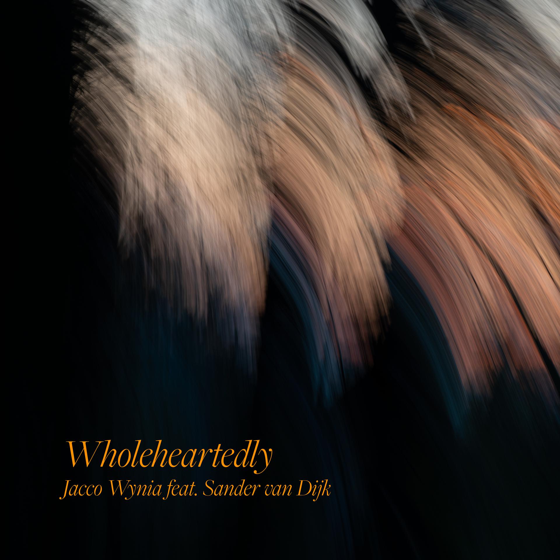 Постер альбома Wholeheartedly (feat. Sander van Dijk)