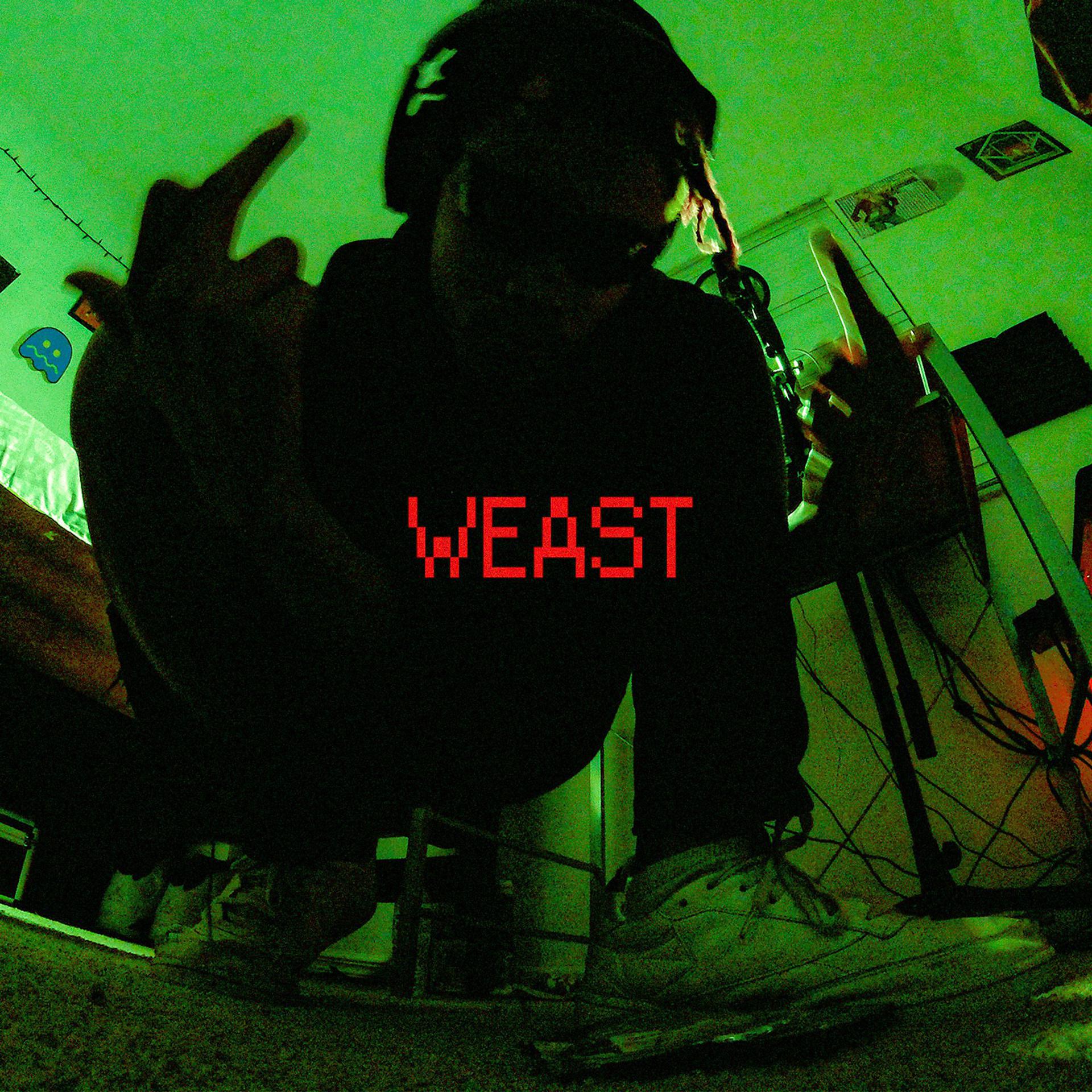 Постер альбома Weast