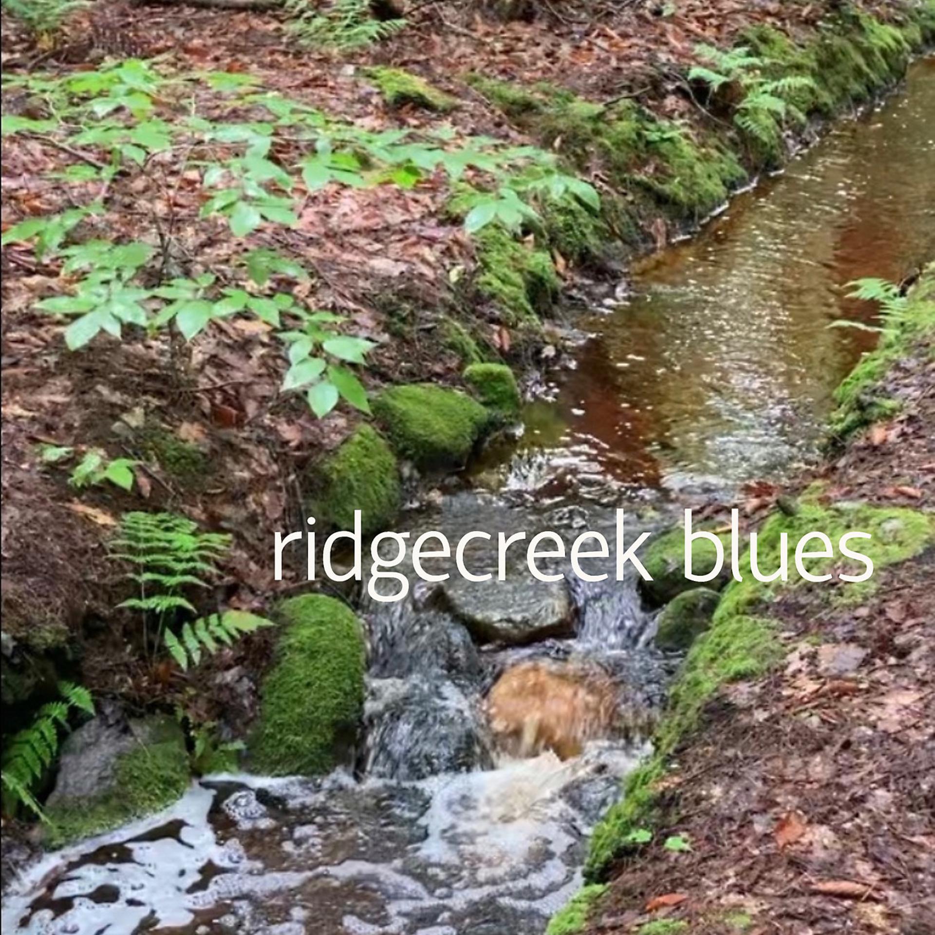 Постер альбома Ridgecreek Blues