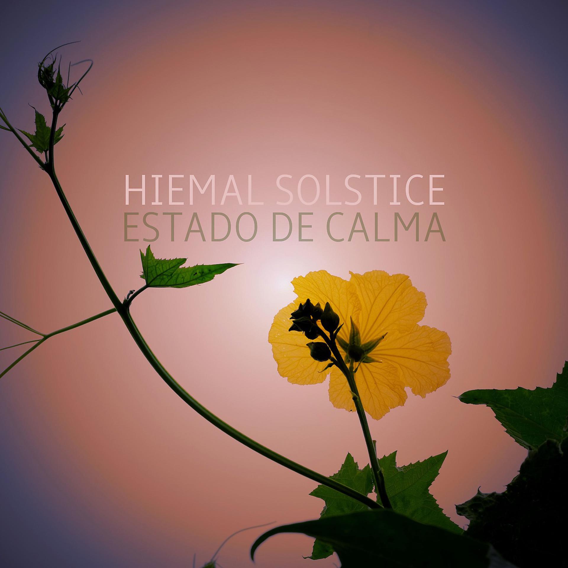 Постер альбома Hiemal Solstice
