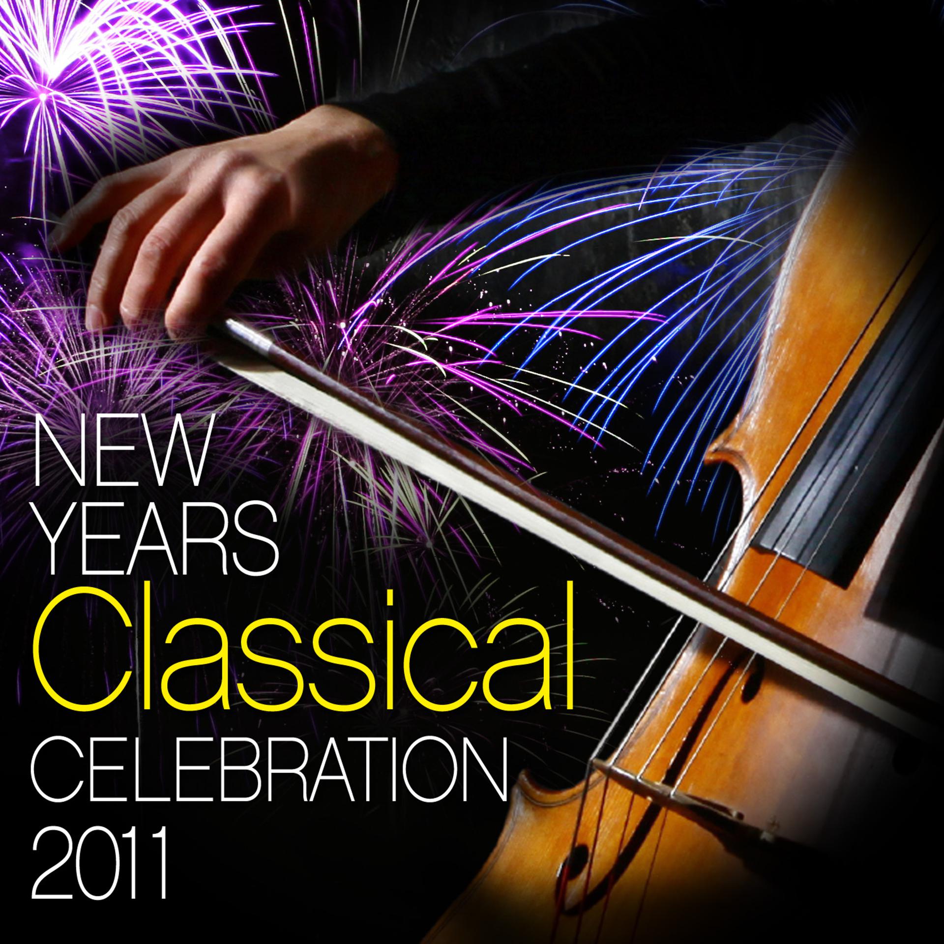 Постер альбома New Years Classical Celebration 2011