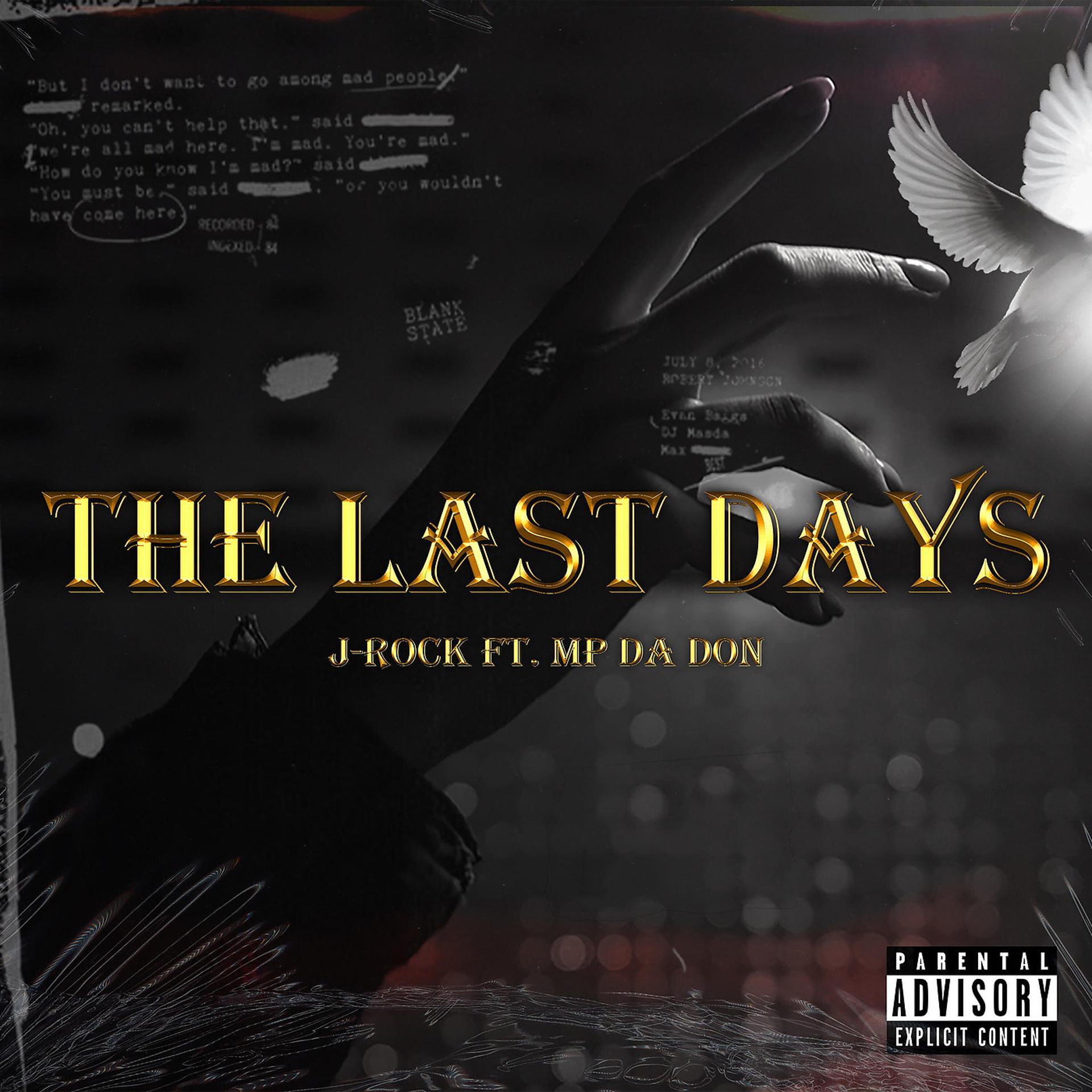 Постер альбома The Last Days