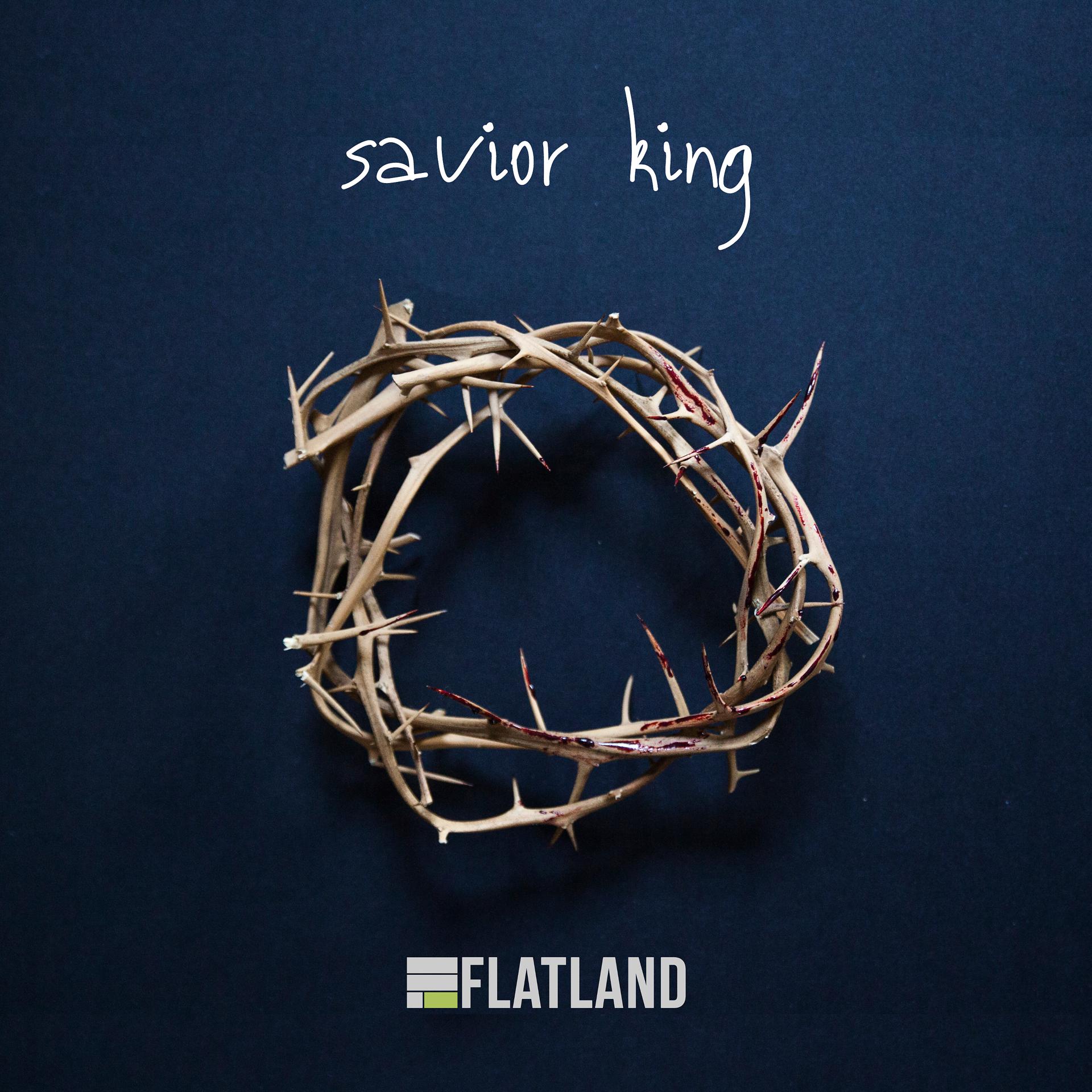Постер альбома Savior King