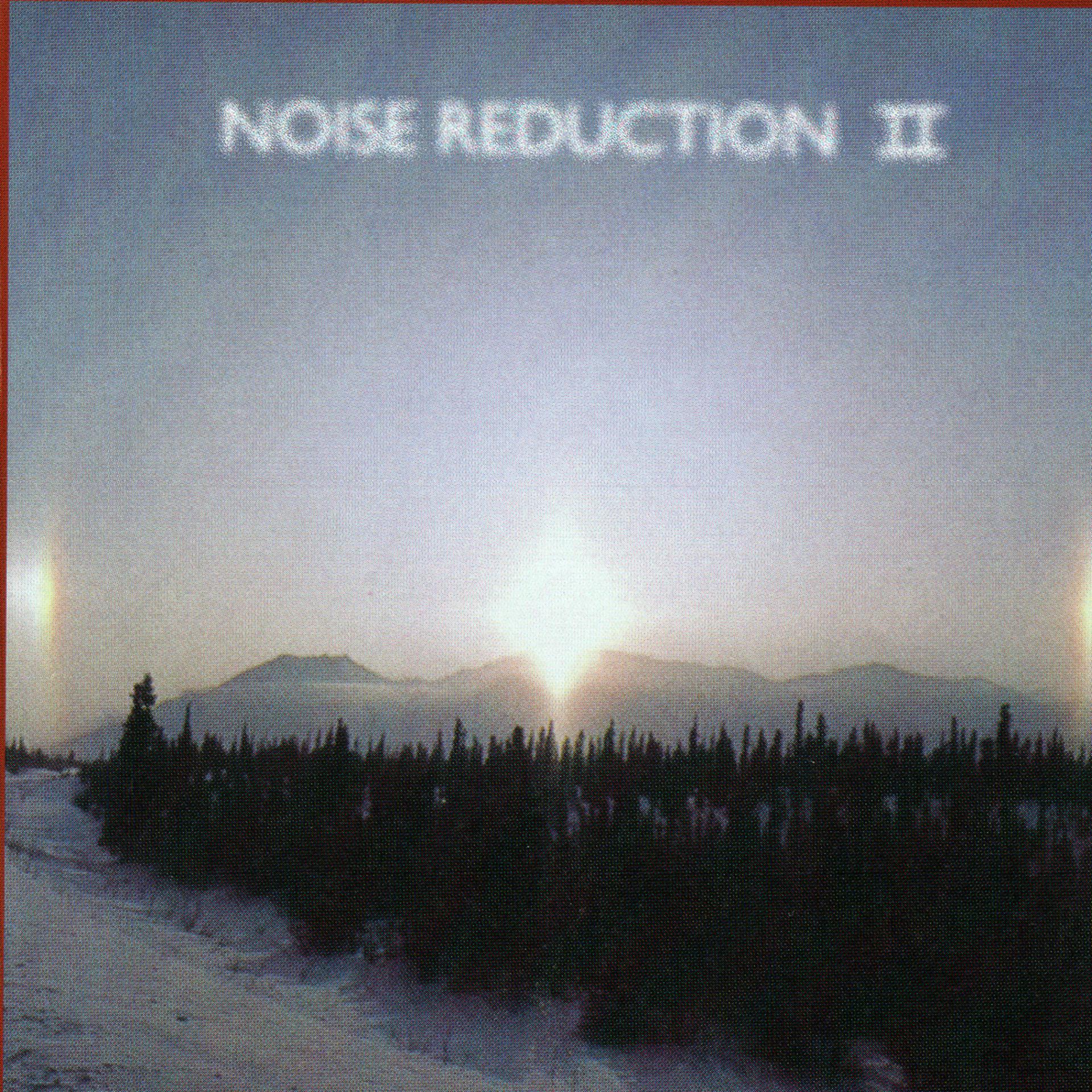 Постер альбома Noise Reduction II