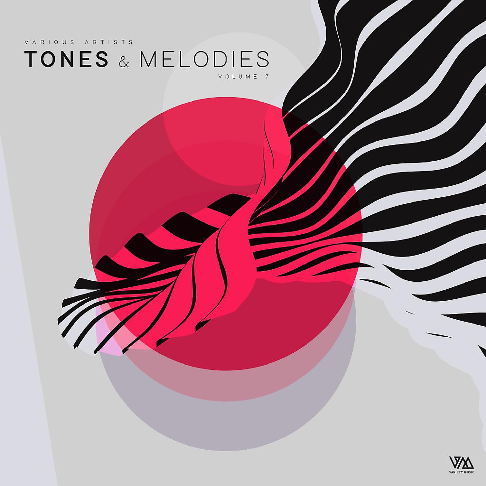 Постер альбома Tones & Melodies, Vol. 7