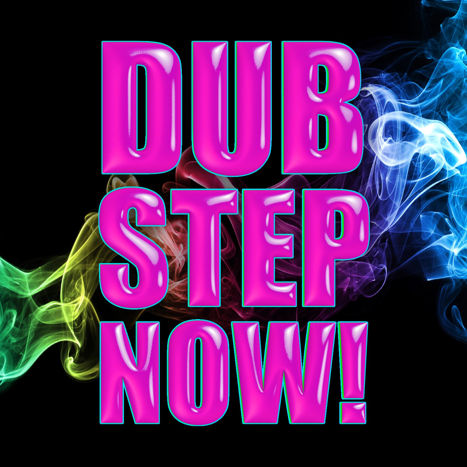Постер альбома Dub Step Now!