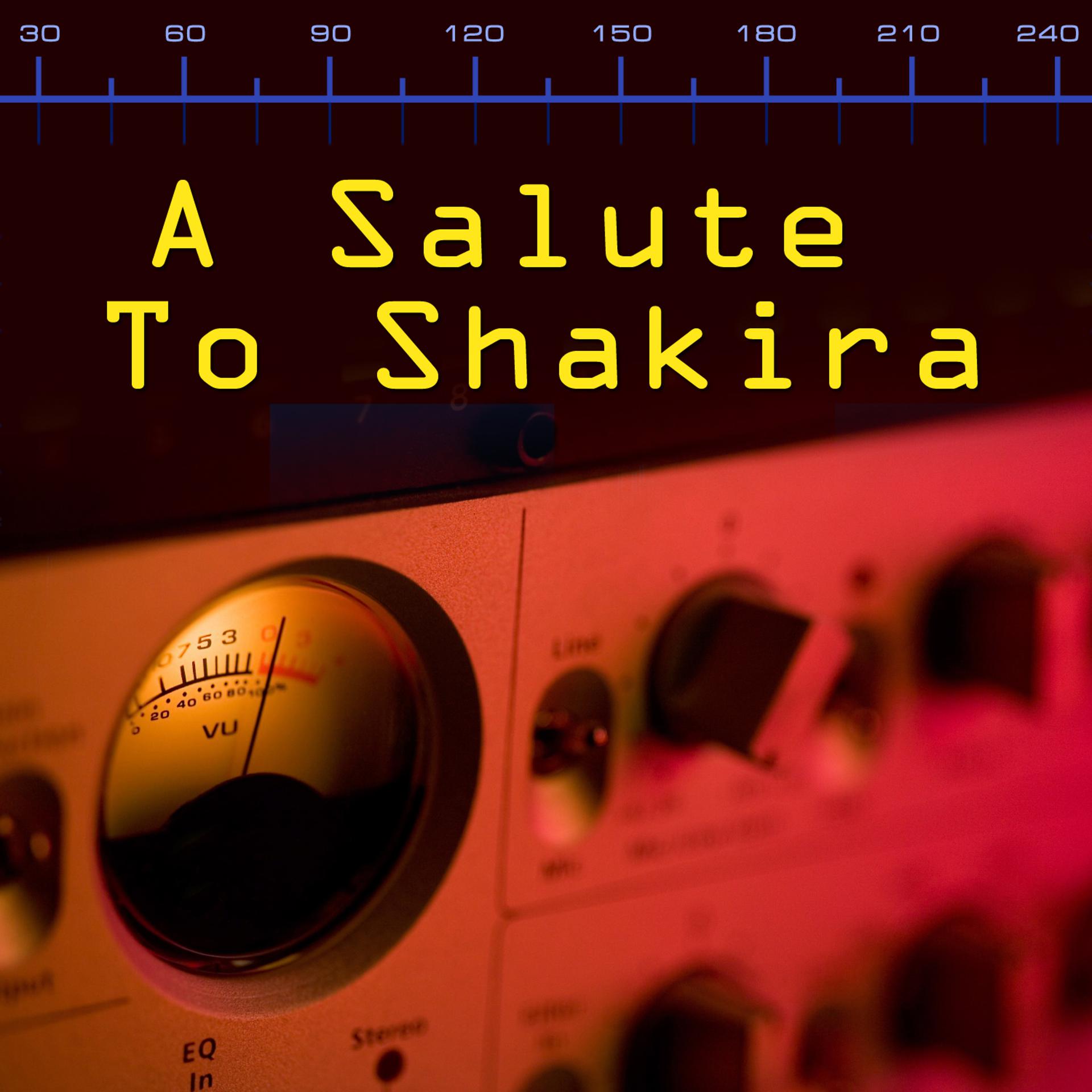 Постер альбома A Salute To Shakira