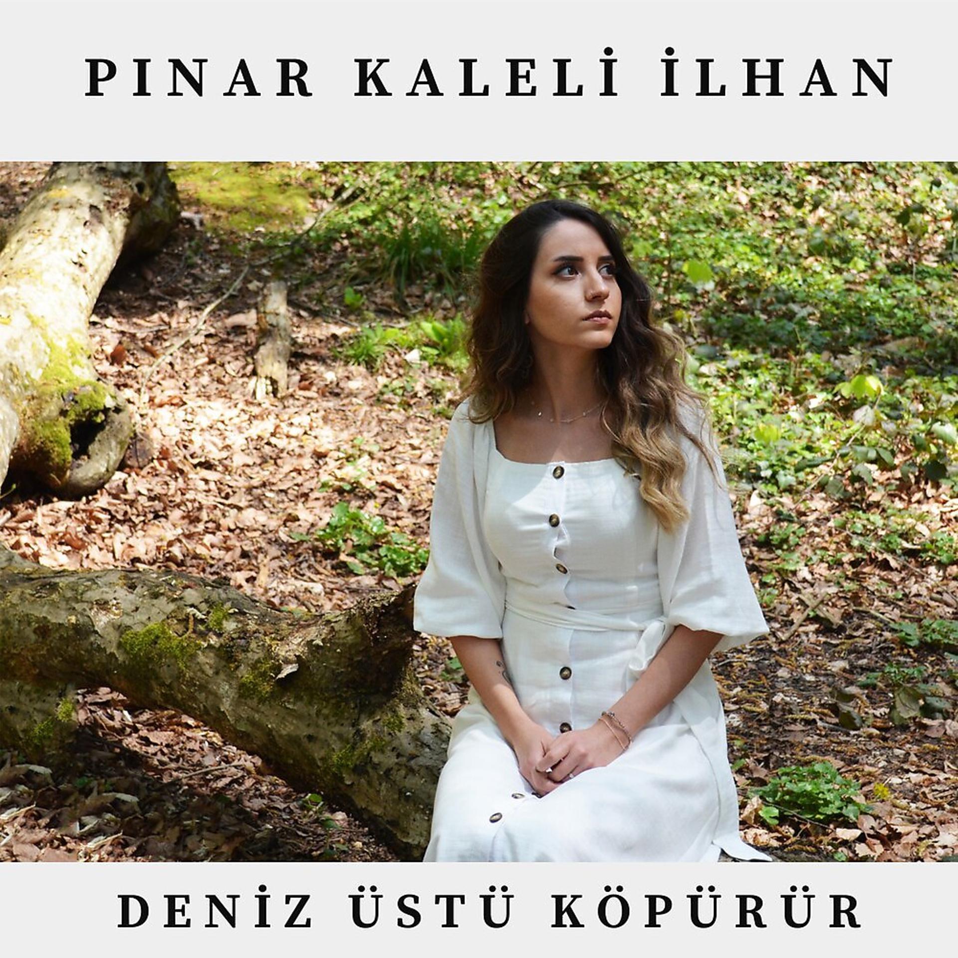 Постер альбома Deniz Üstü Köpürür