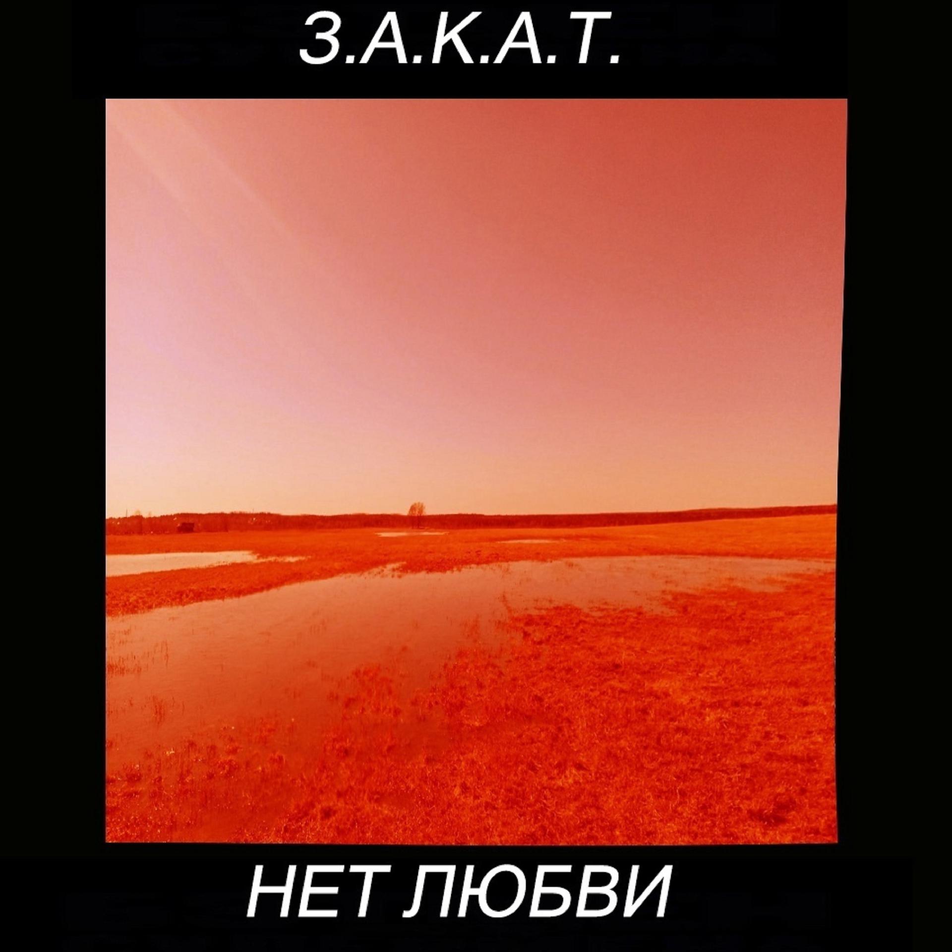 Постер альбома Нет любви (Deluxe Edition)
