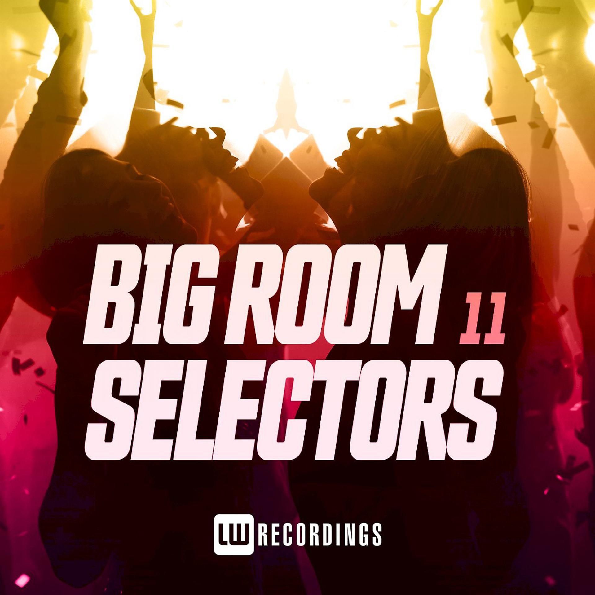 Постер альбома Big Room Selectors, 11
