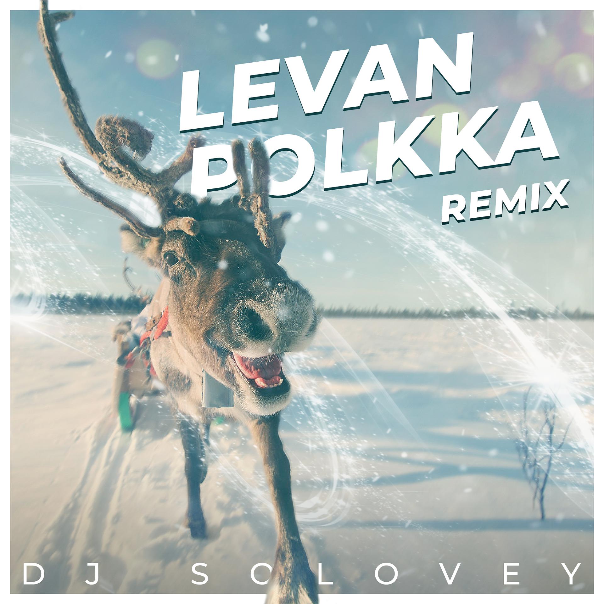 Постер альбома Levan Polkka (Remix)