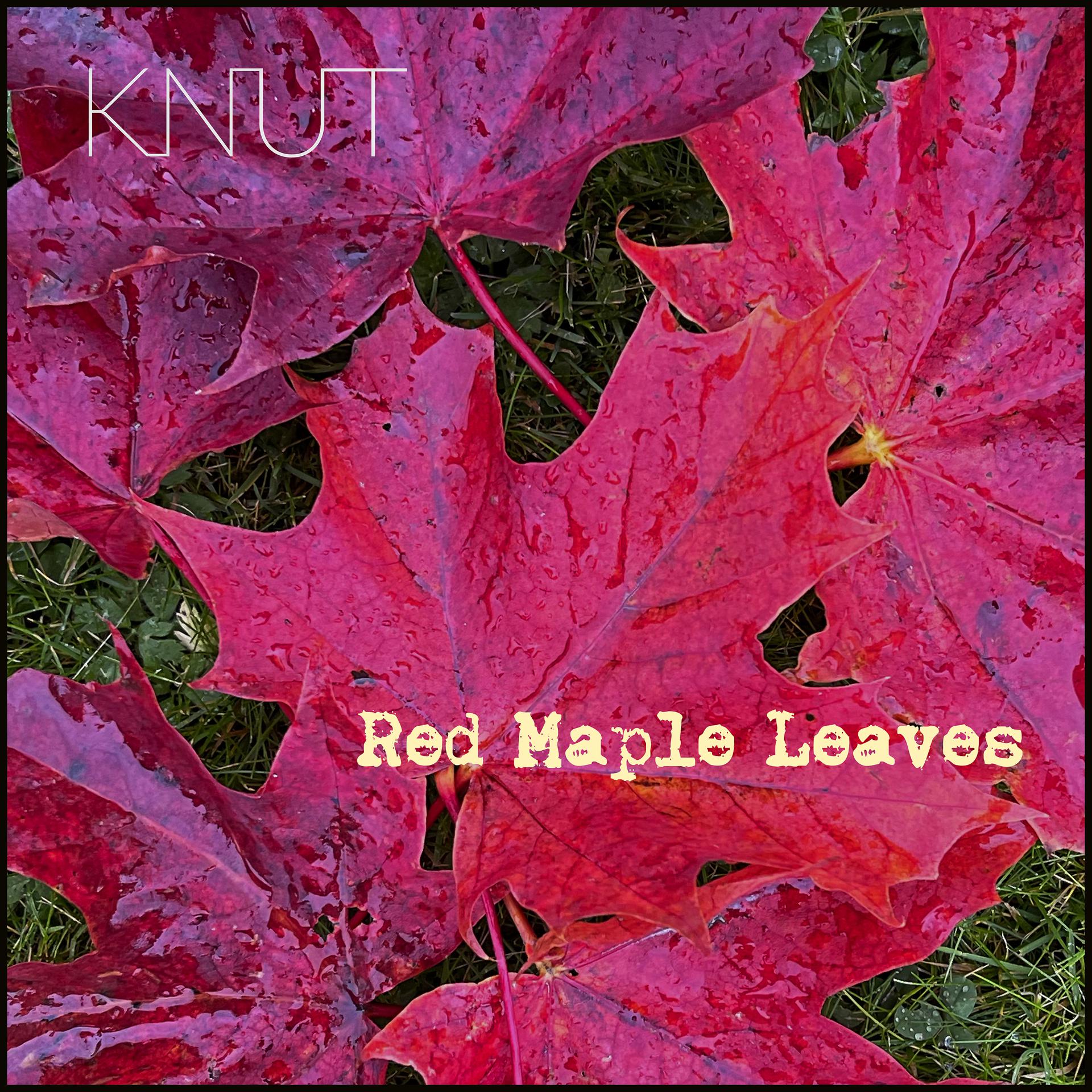 Постер альбома Red Maple Leaves