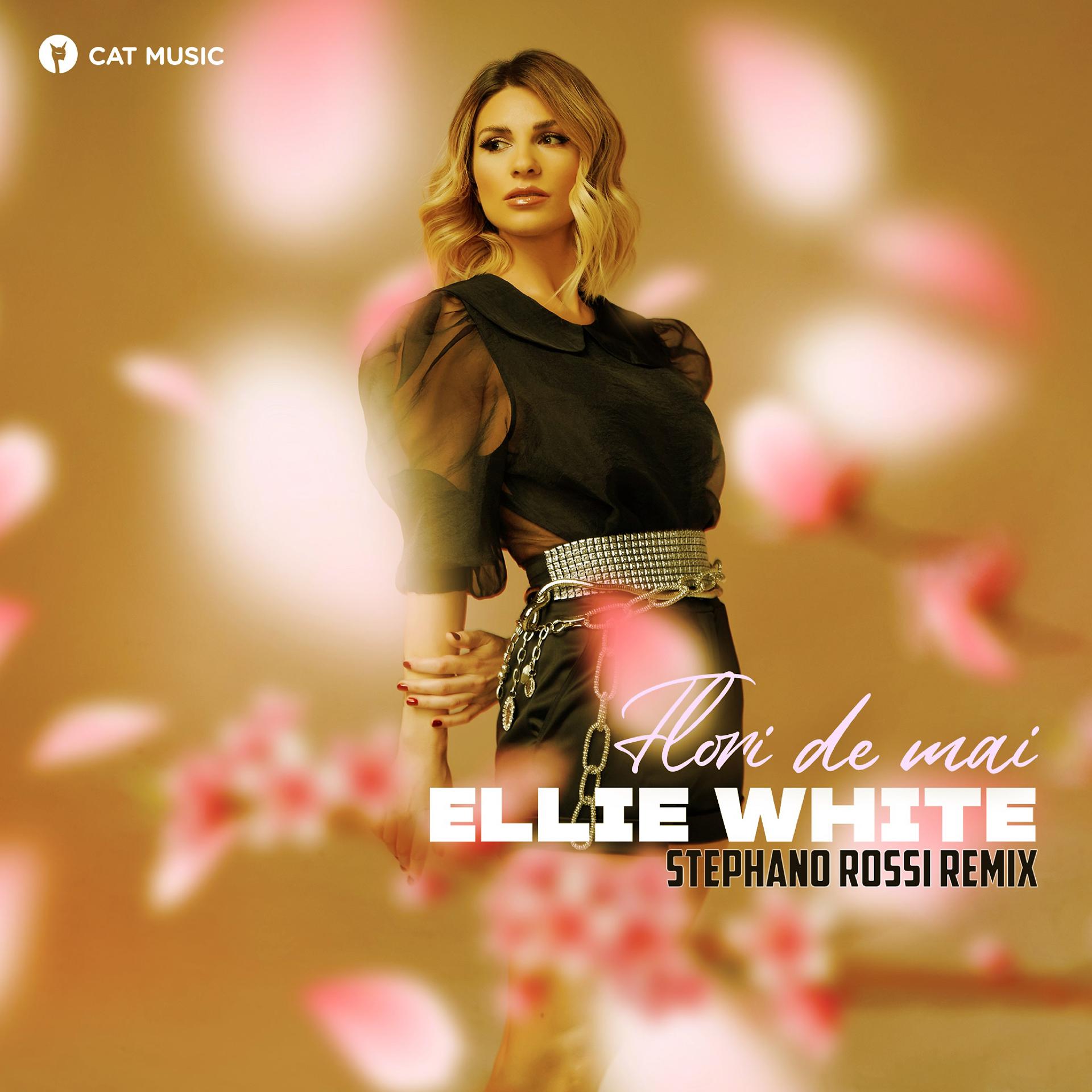 Постер альбома Flori de Mai (Stephano Rossi Remix)