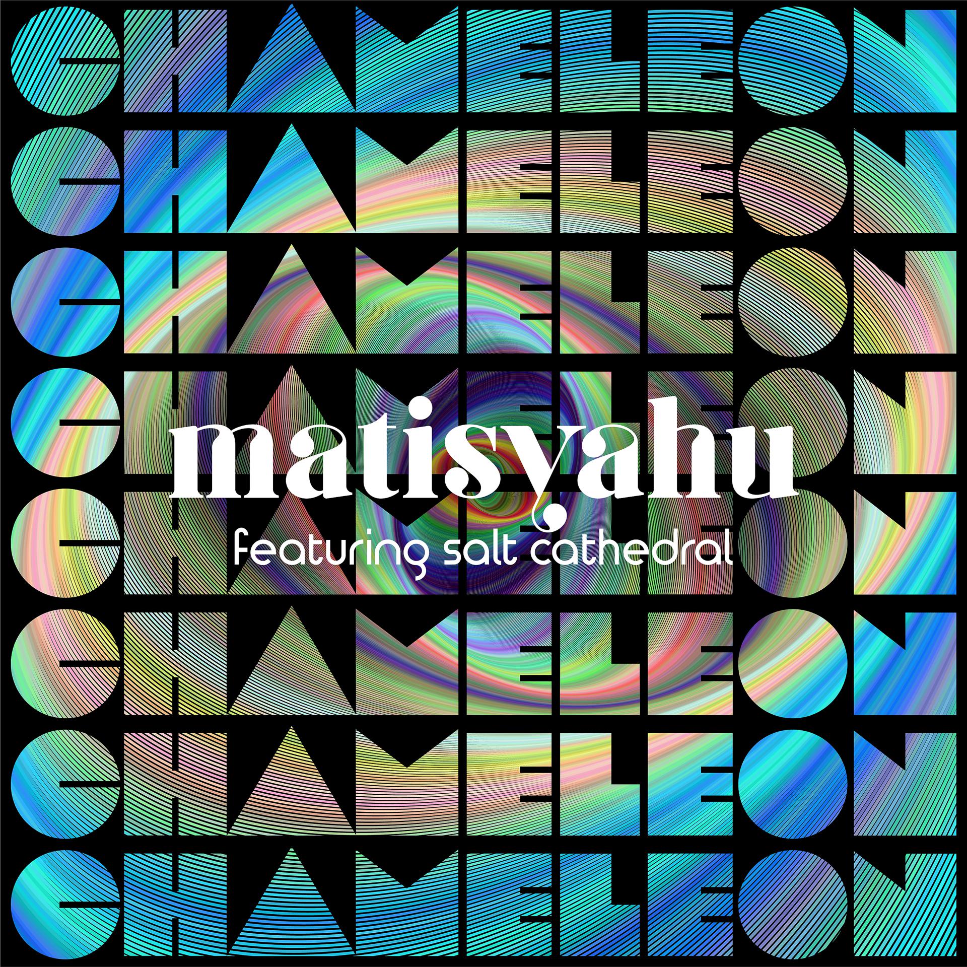 Постер альбома Chameleon (feat. Salt Cathedral)