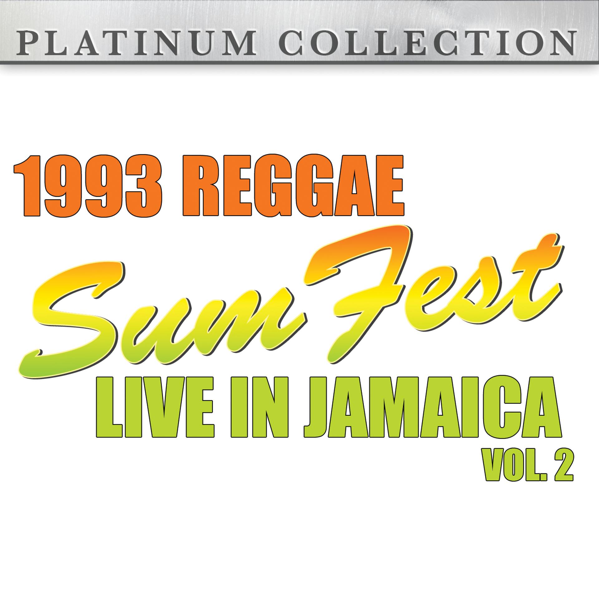 Постер альбома 1993 Reggae Sumfest - Live in Jamaica Vol. 2