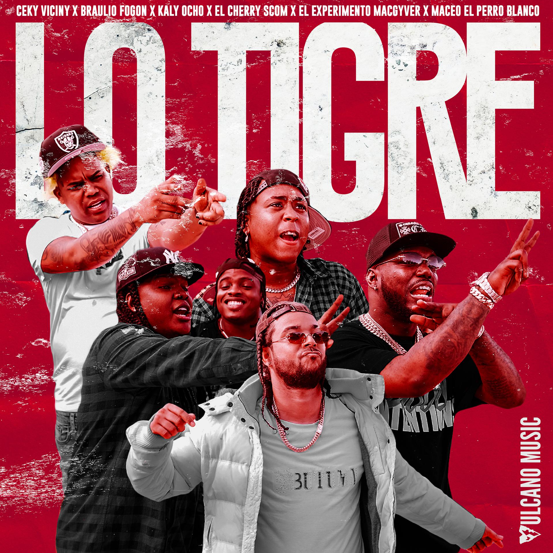 Постер альбома Lo Tigre