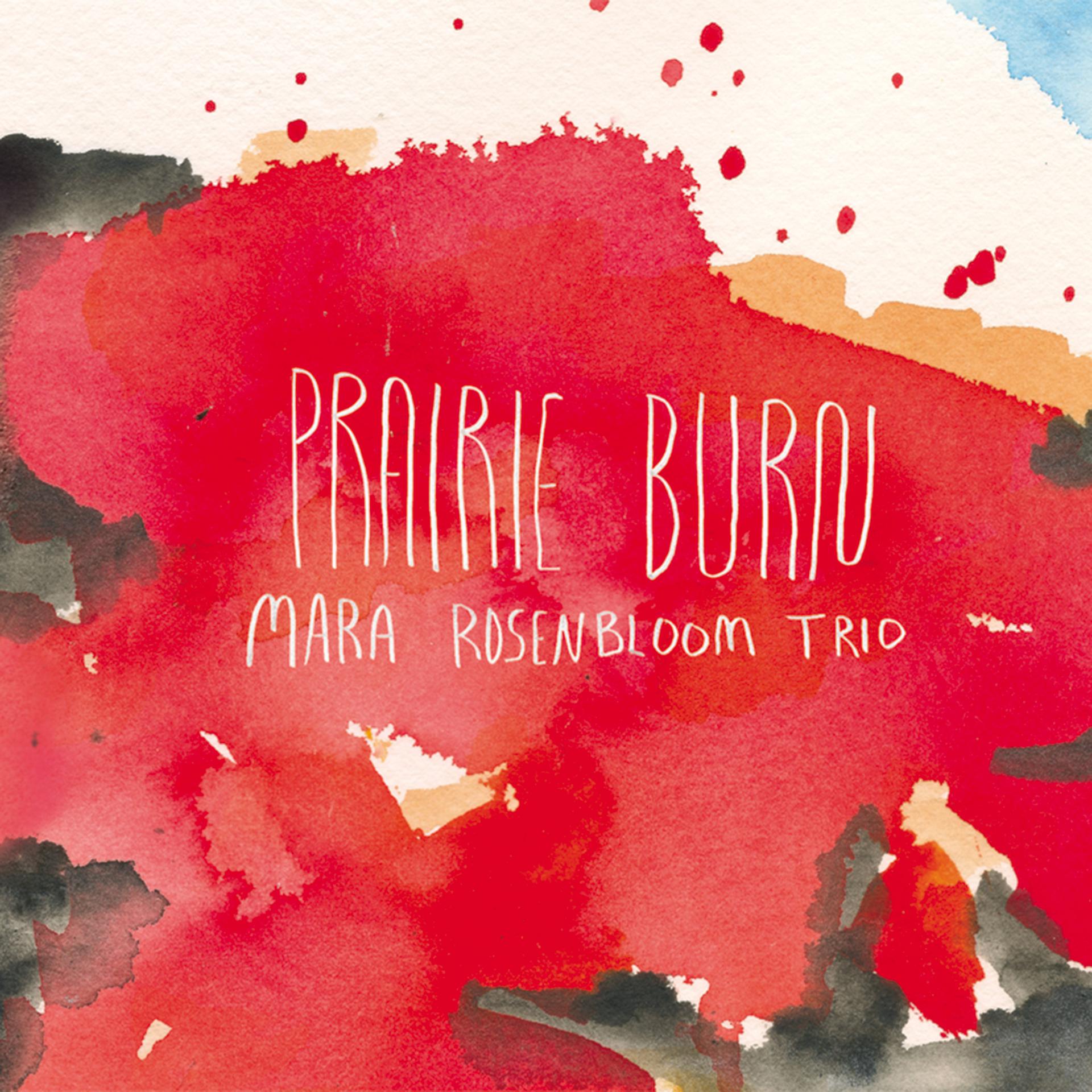 Постер альбома Prairie Burn