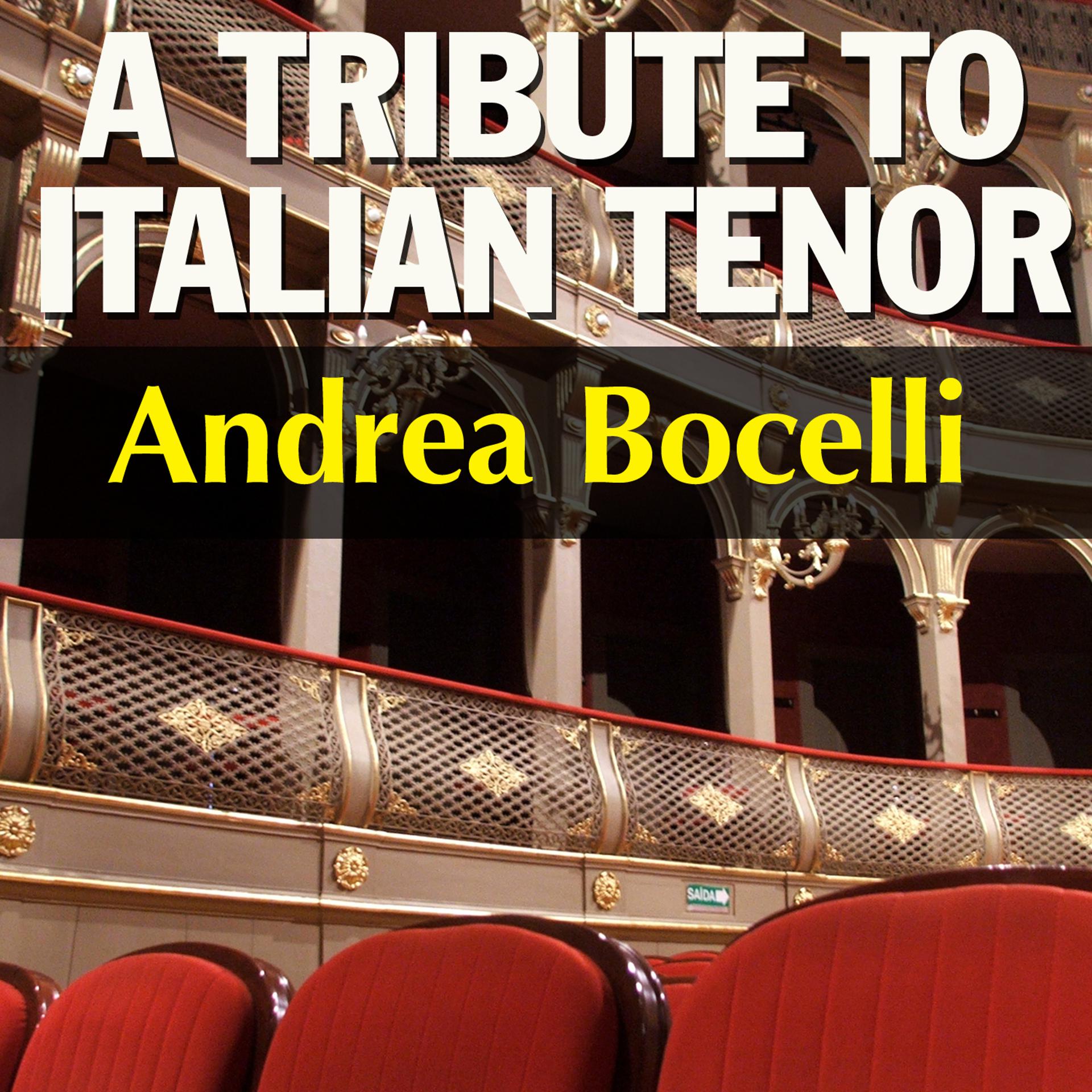 Постер альбома A Tribute to Italian Tenor Andrea Bocelli