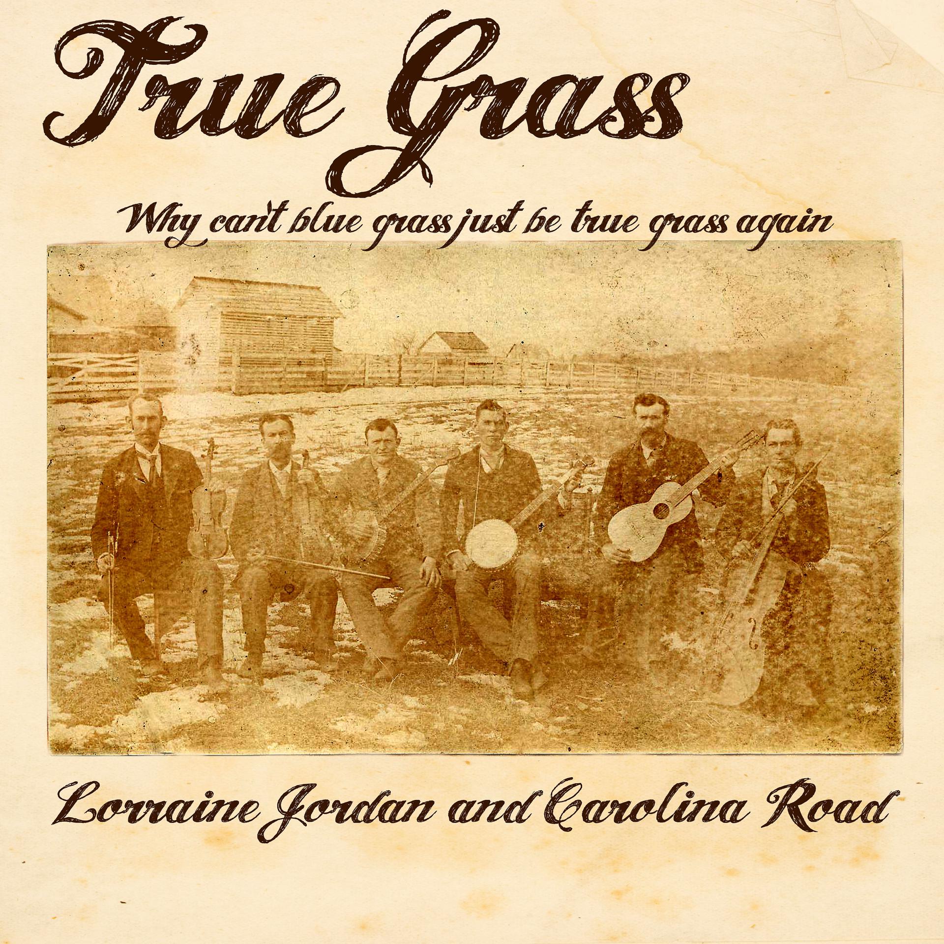 Постер альбома True Grass (Why Can't Blue Grass Just Be True Grass Again)