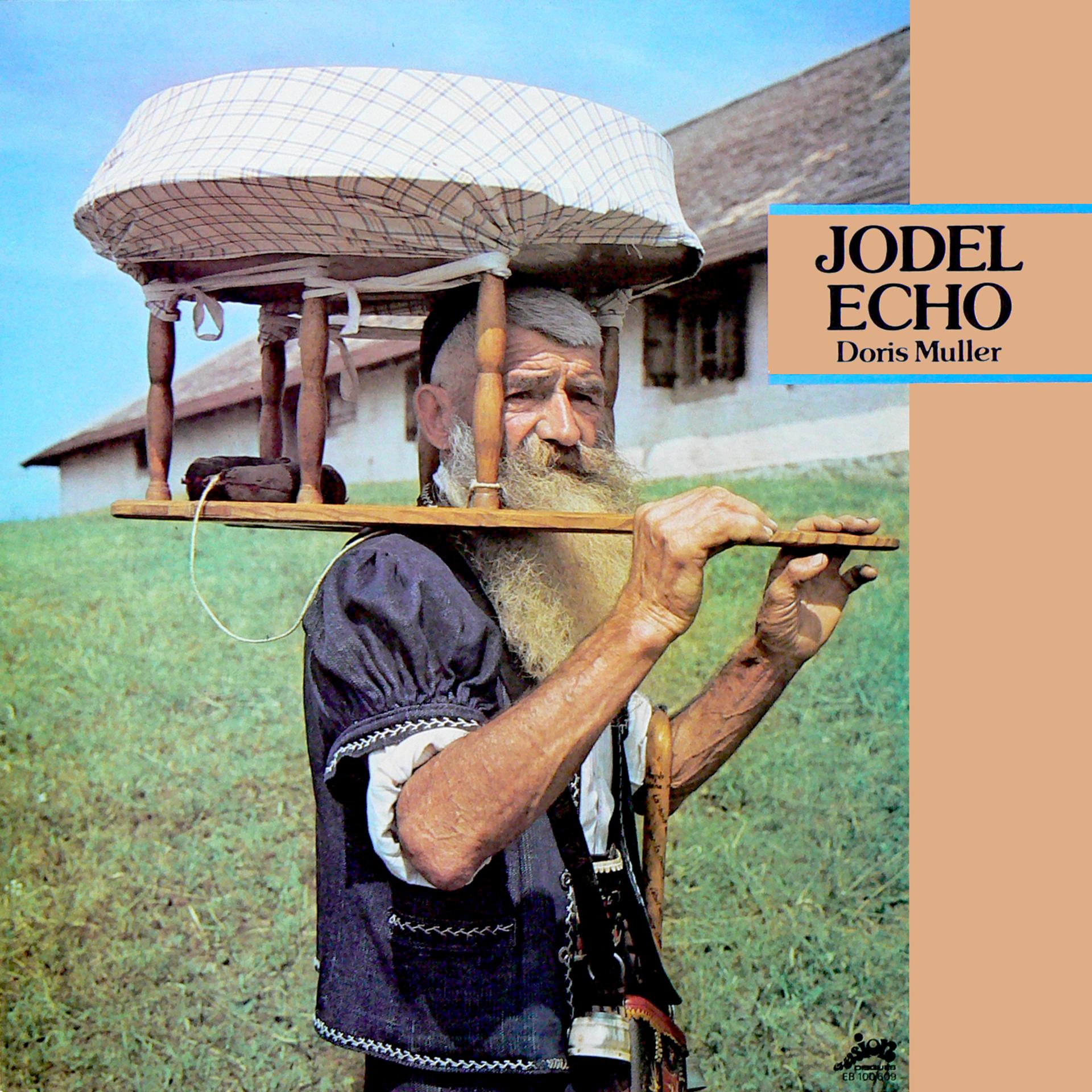 Постер альбома Jodel Echo : Swiss Folk Music (Evasion 1970)