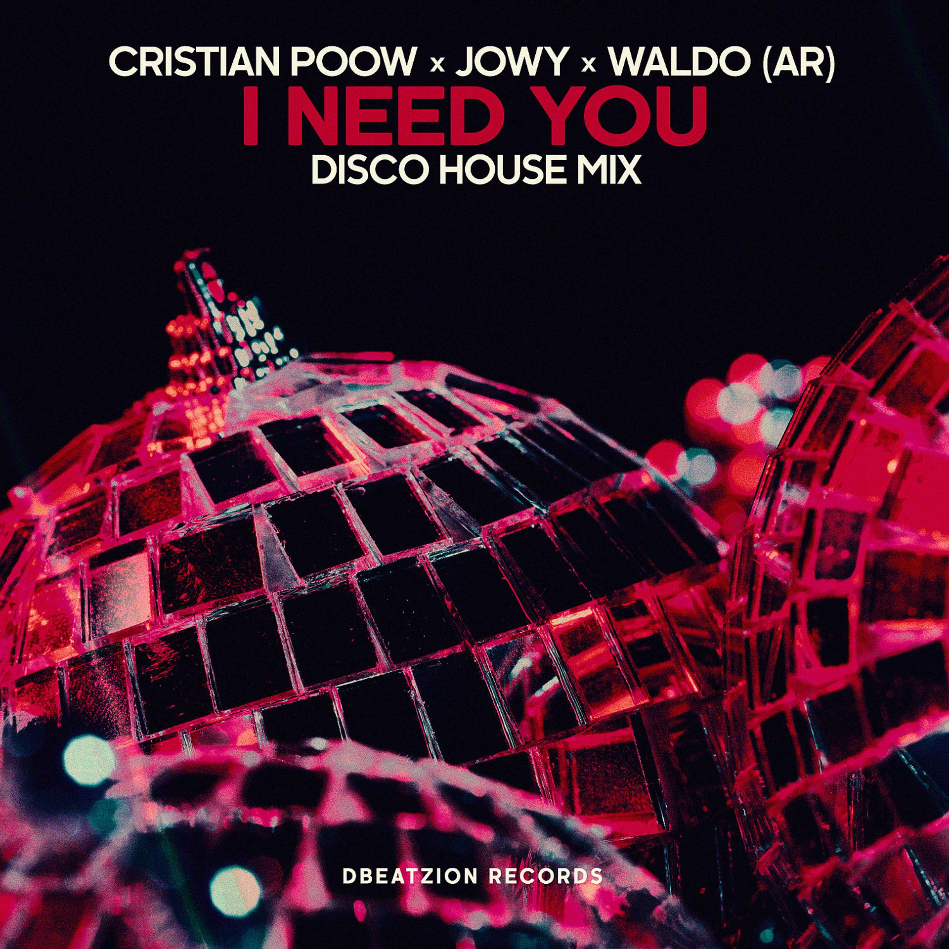 Постер альбома I Need You (Disco House Mix)