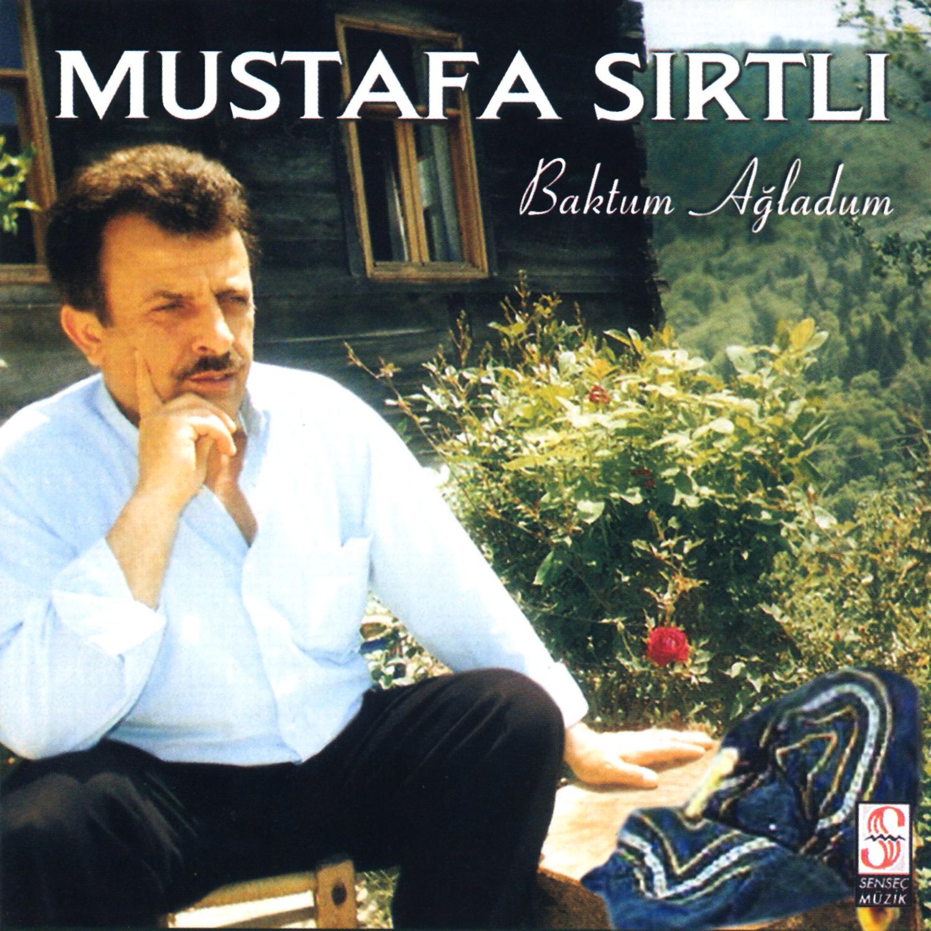 Постер альбома Baktum Ağladum