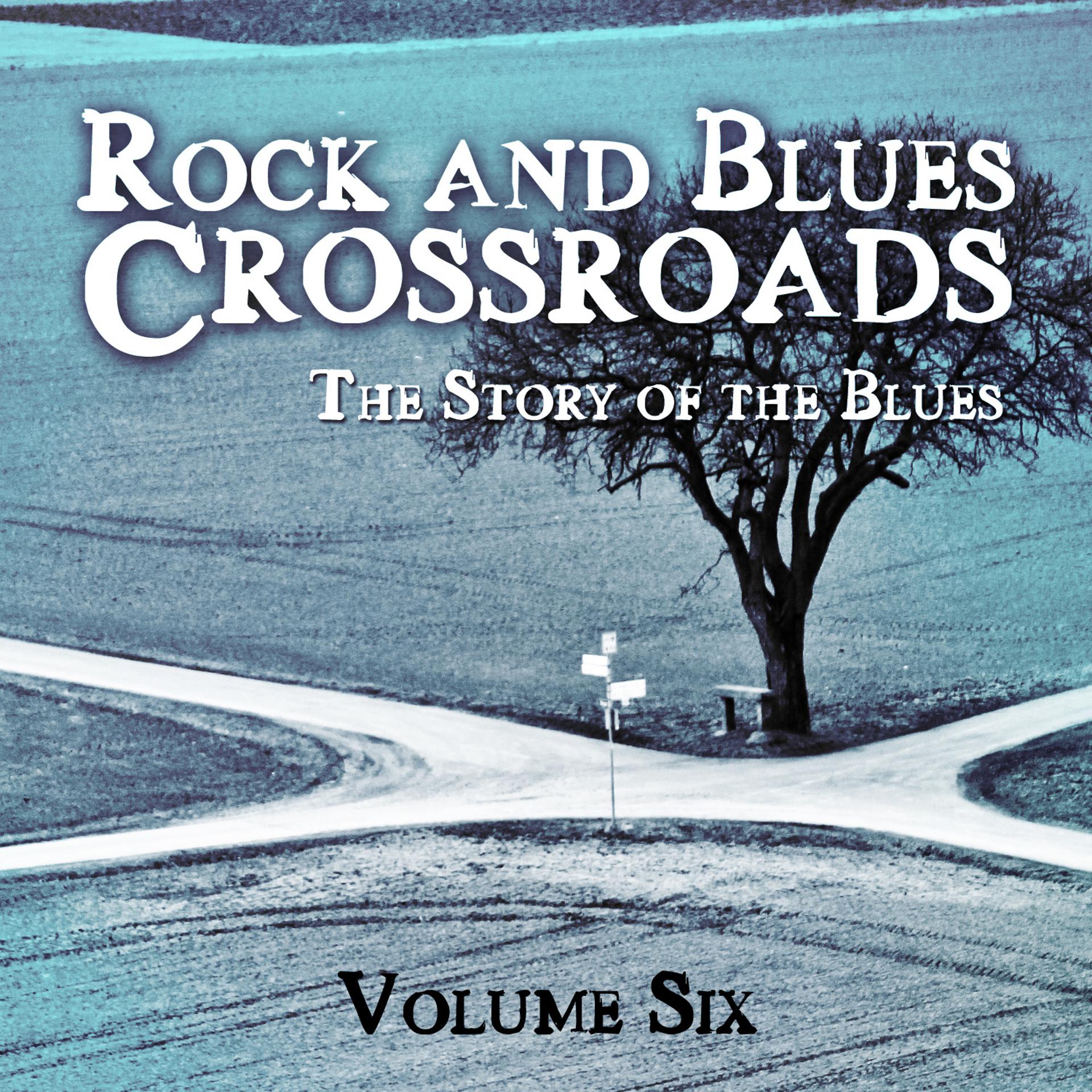 Постер альбома Rock and Blues Crossroads - The Story of the Blues, Vol. 6