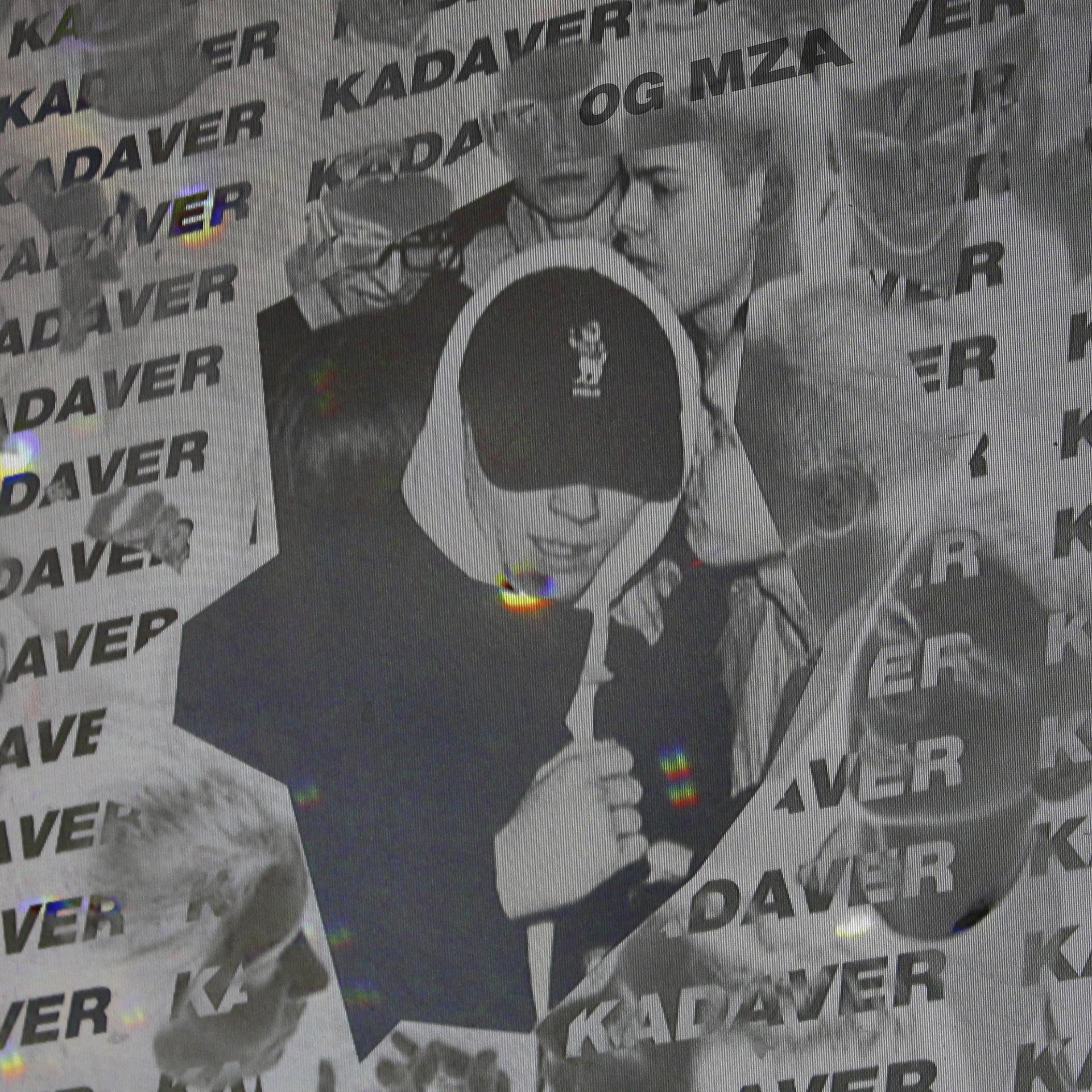 Постер альбома Kadaver