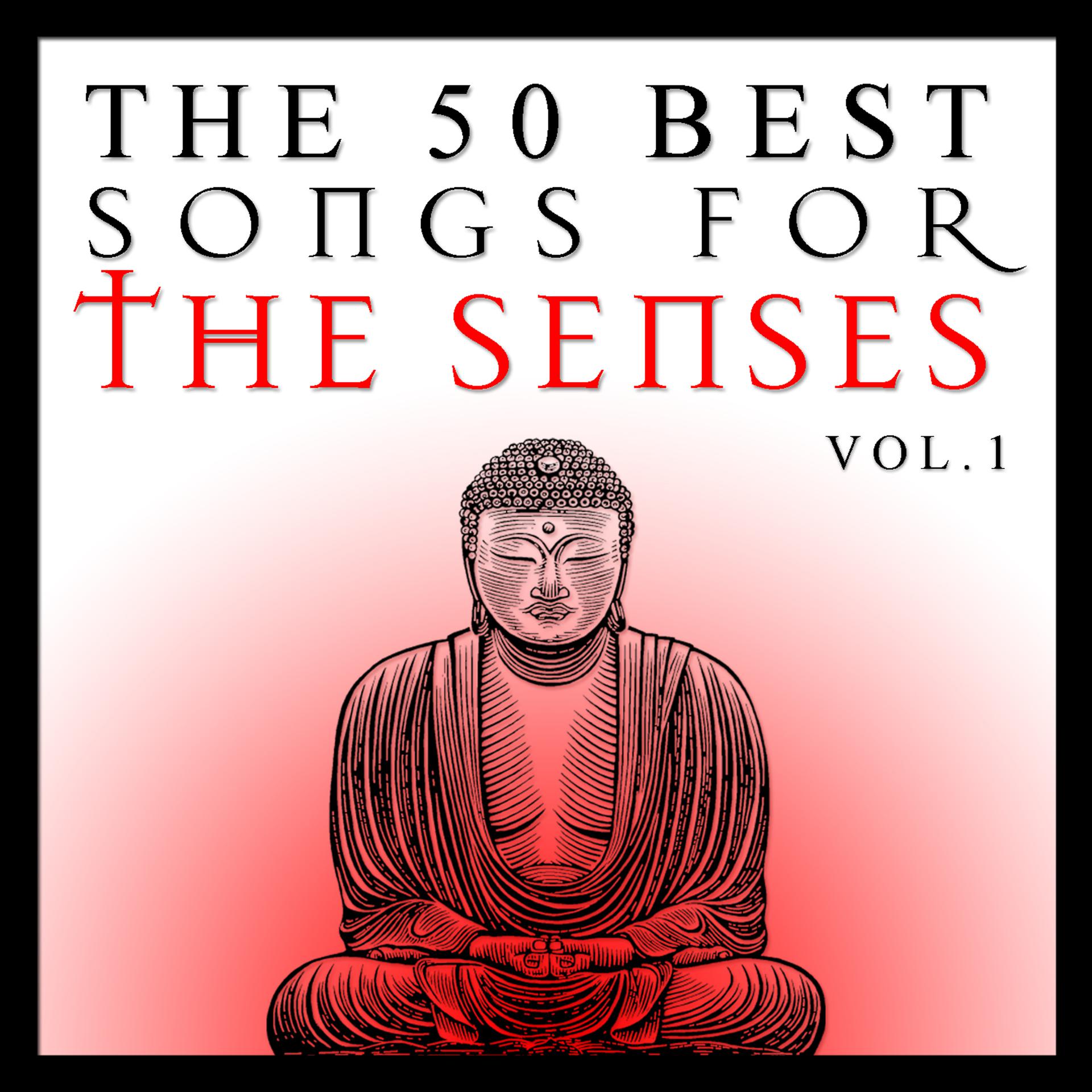 Постер альбома The 50 Best Songs for the Senses Vol.1