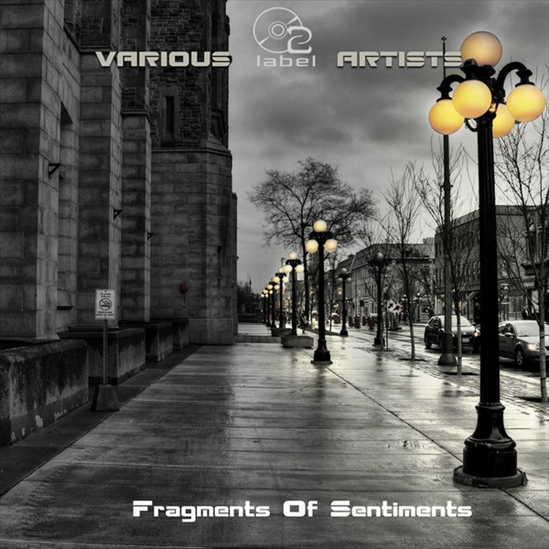 Постер альбома Fragments of Sentiments