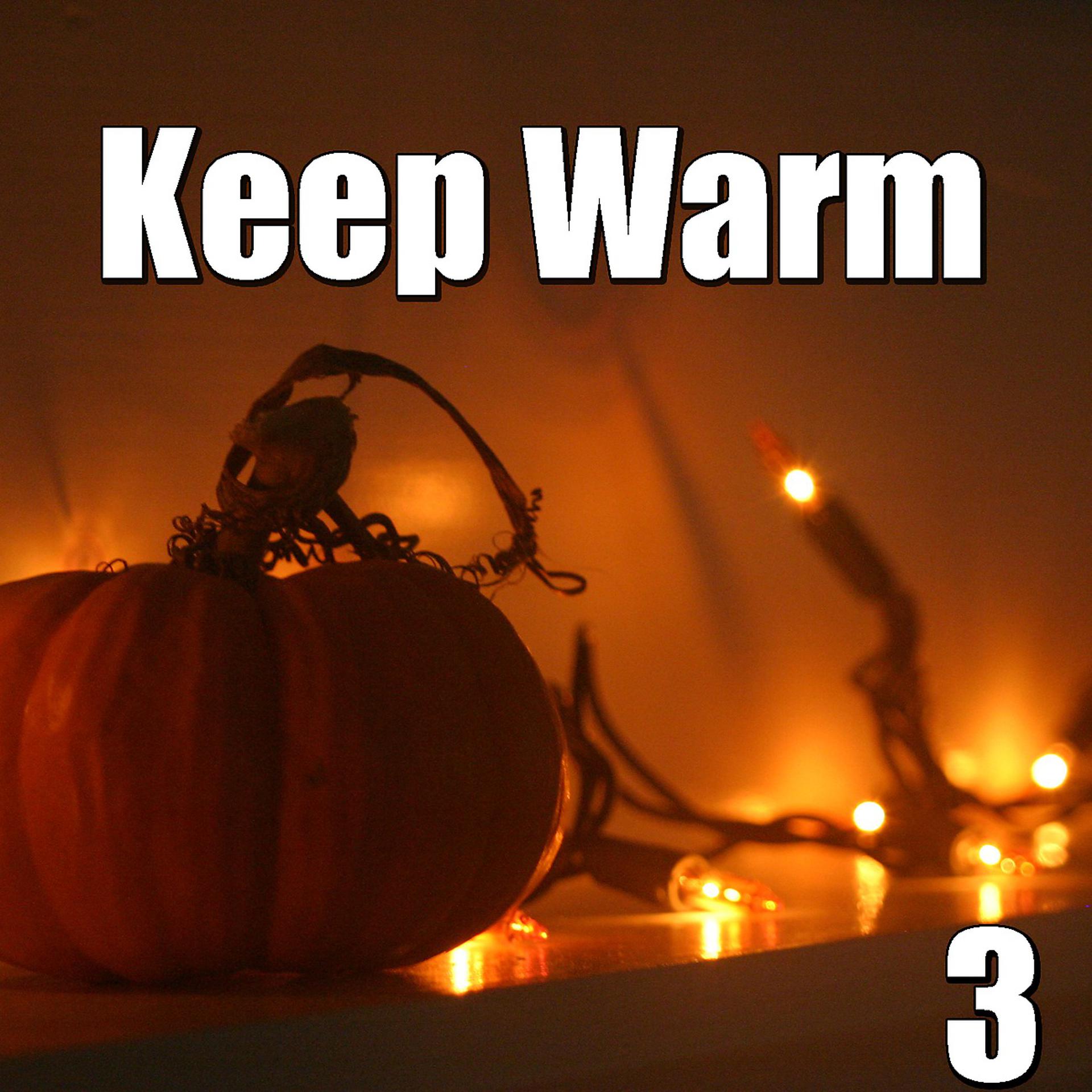 Постер альбома Keep Warm, Vol.3