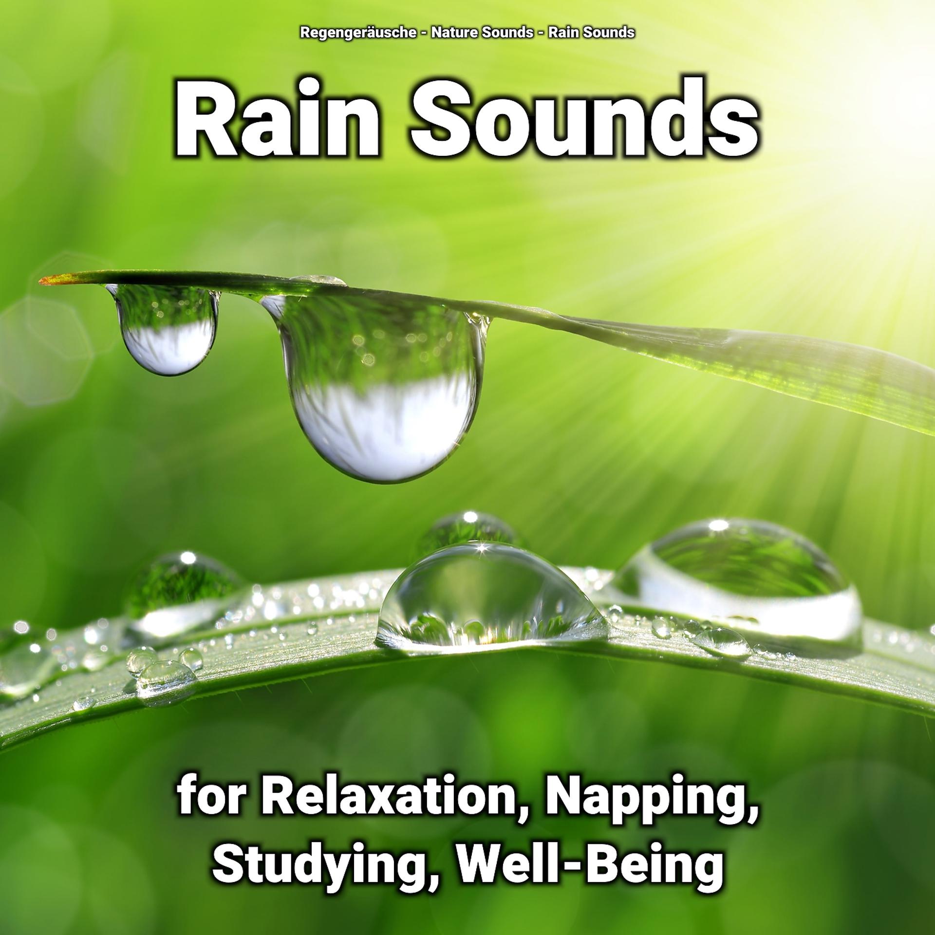 Постер альбома Rain Sounds for Relaxation, Napping, Studying, Well-Being