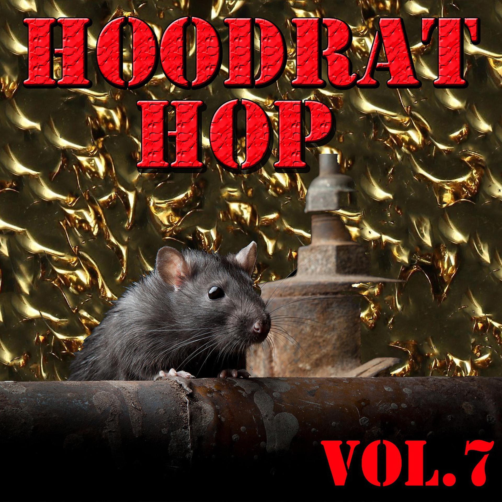Постер альбома Hoodrat Hop, Vol.7