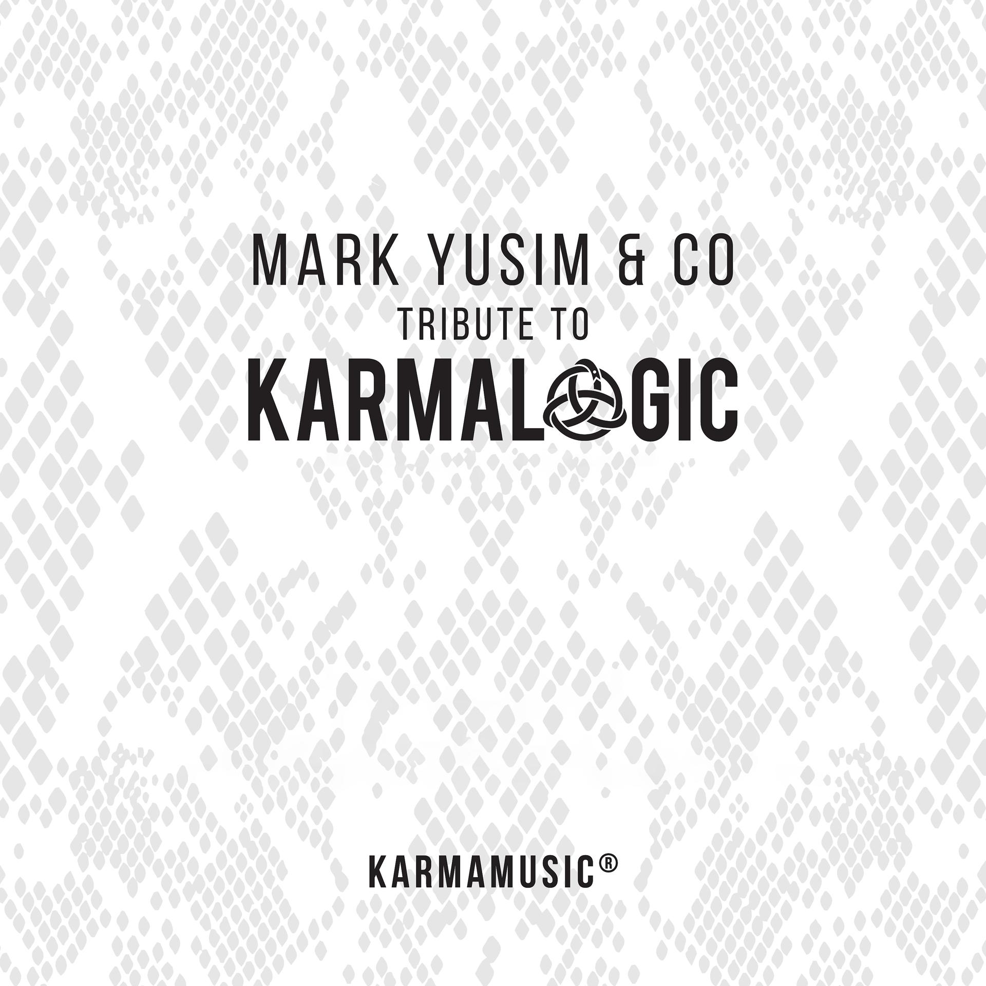Постер альбома Karmalogic