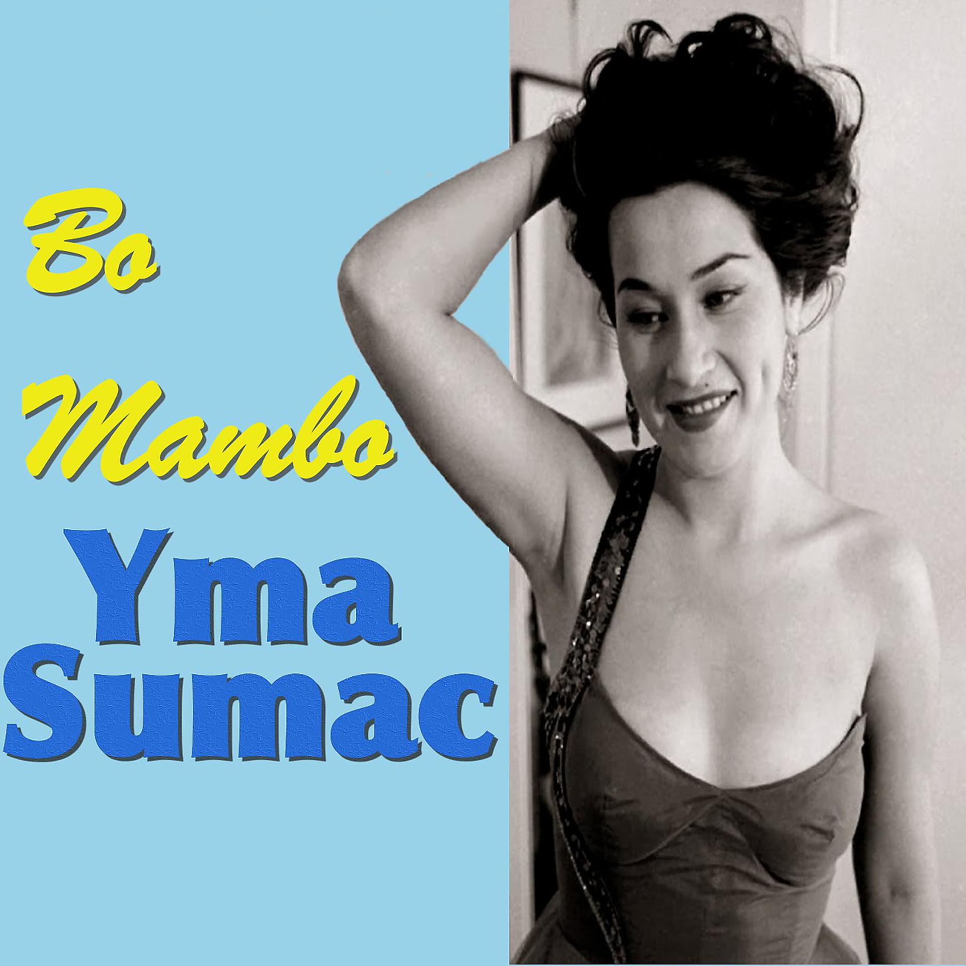 Постер альбома Bo Mambo