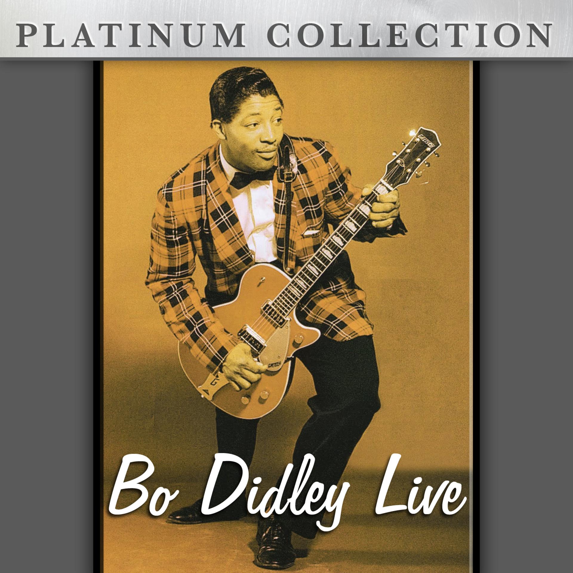 Постер альбома Bo Didley Live