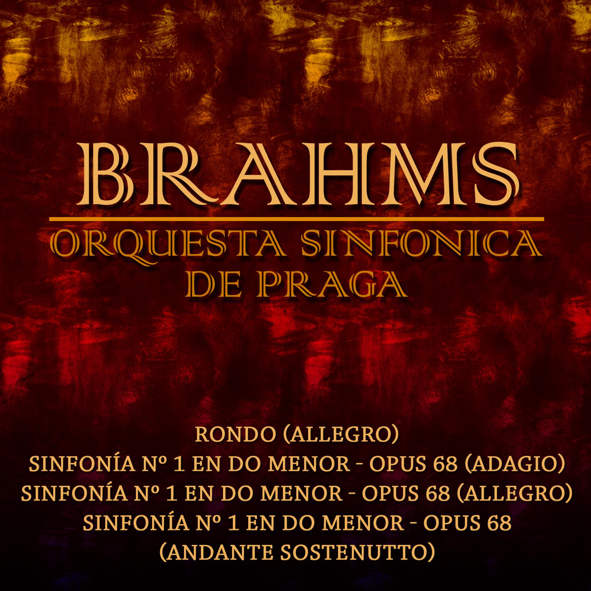 Постер альбома Clásica-Brahms