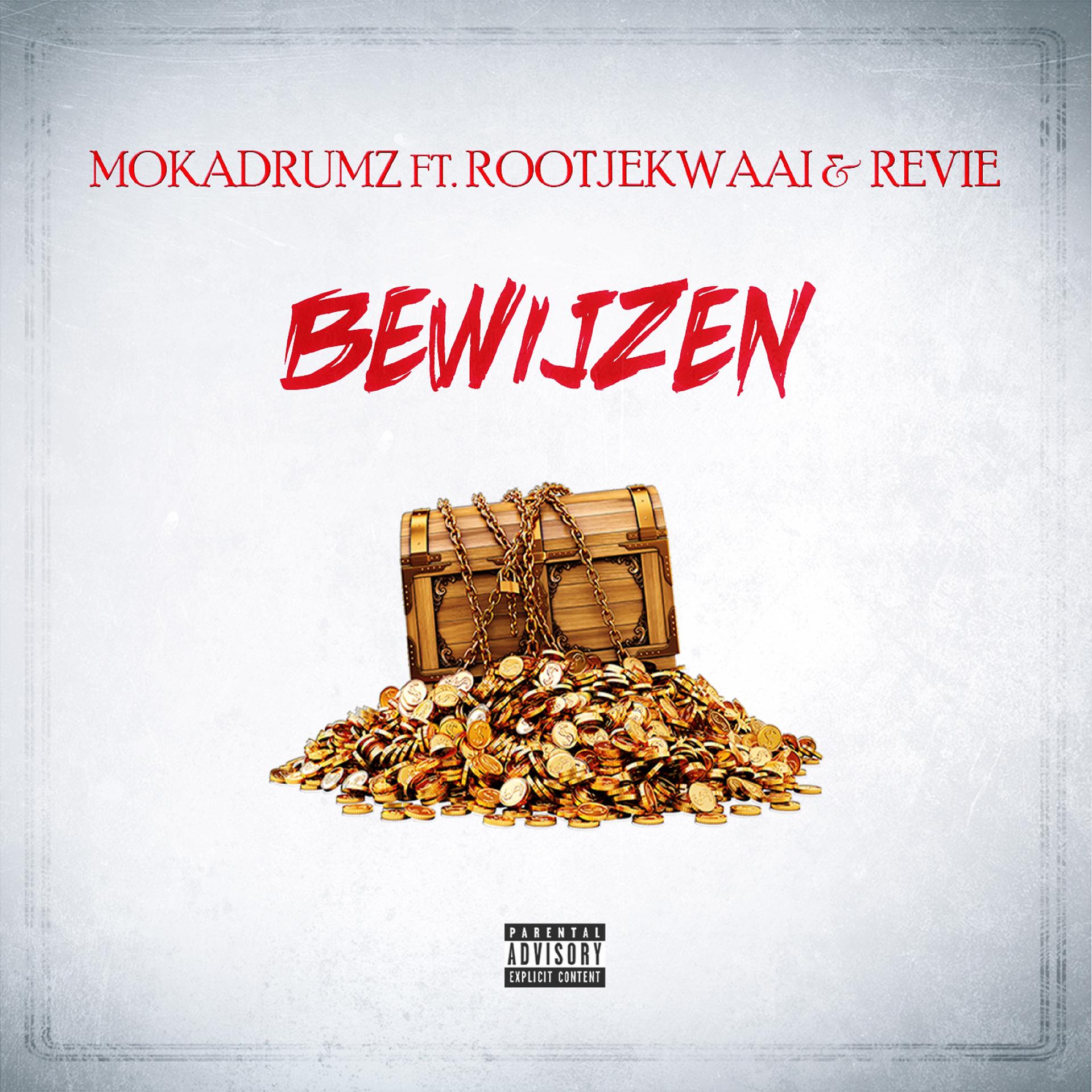 Постер альбома Bewijzen
