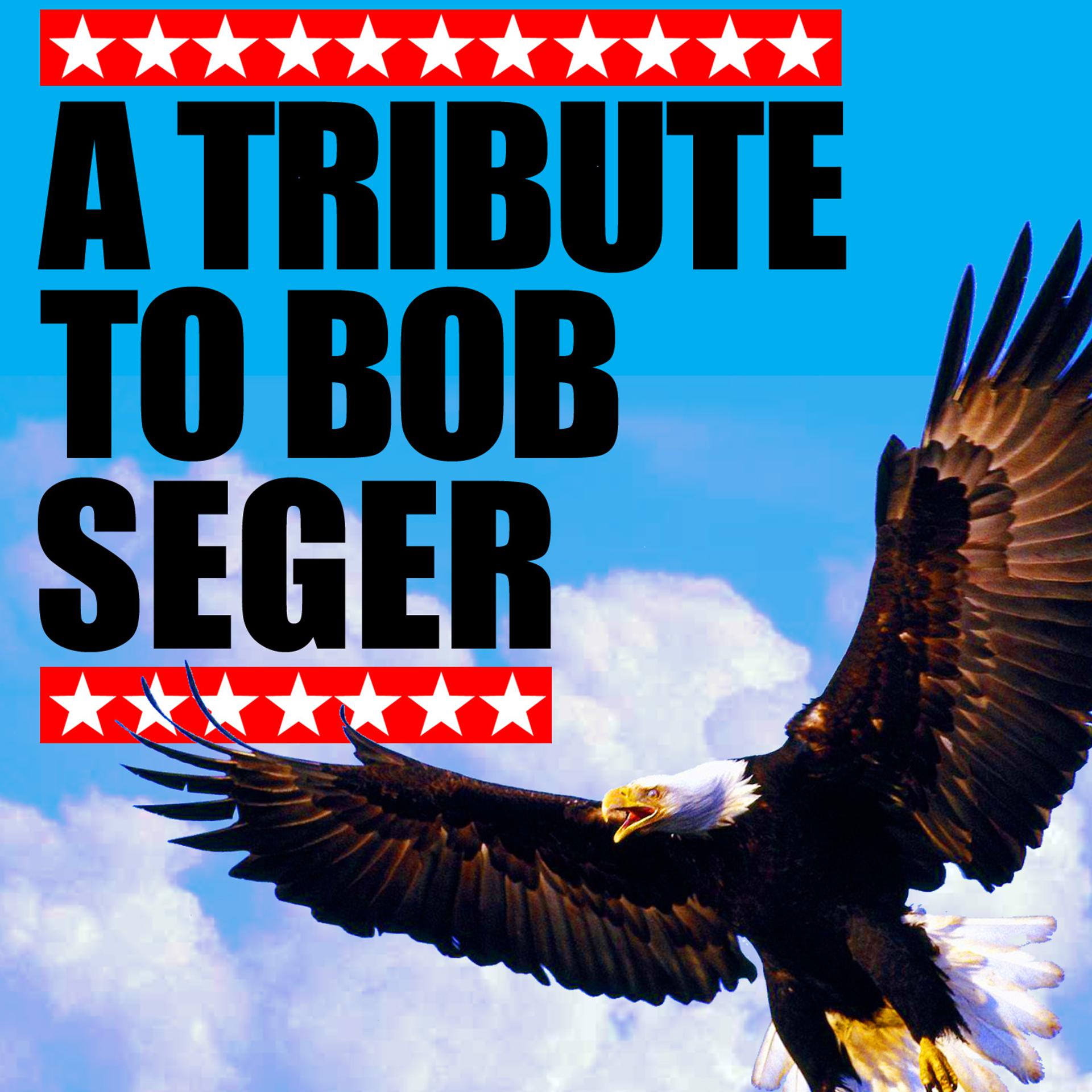 Постер альбома A Tribute To Bob Seger
