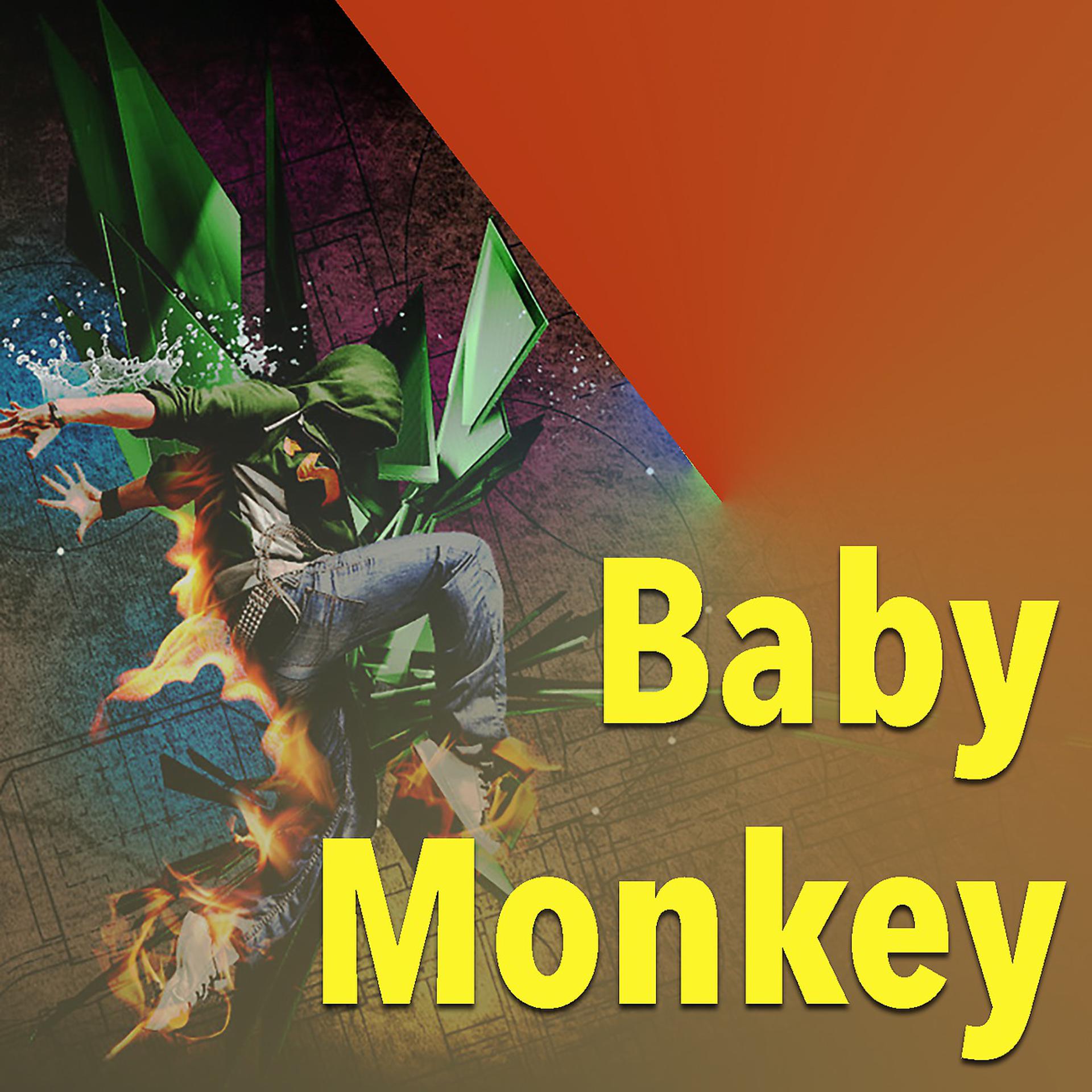 Постер альбома Baby Monkey