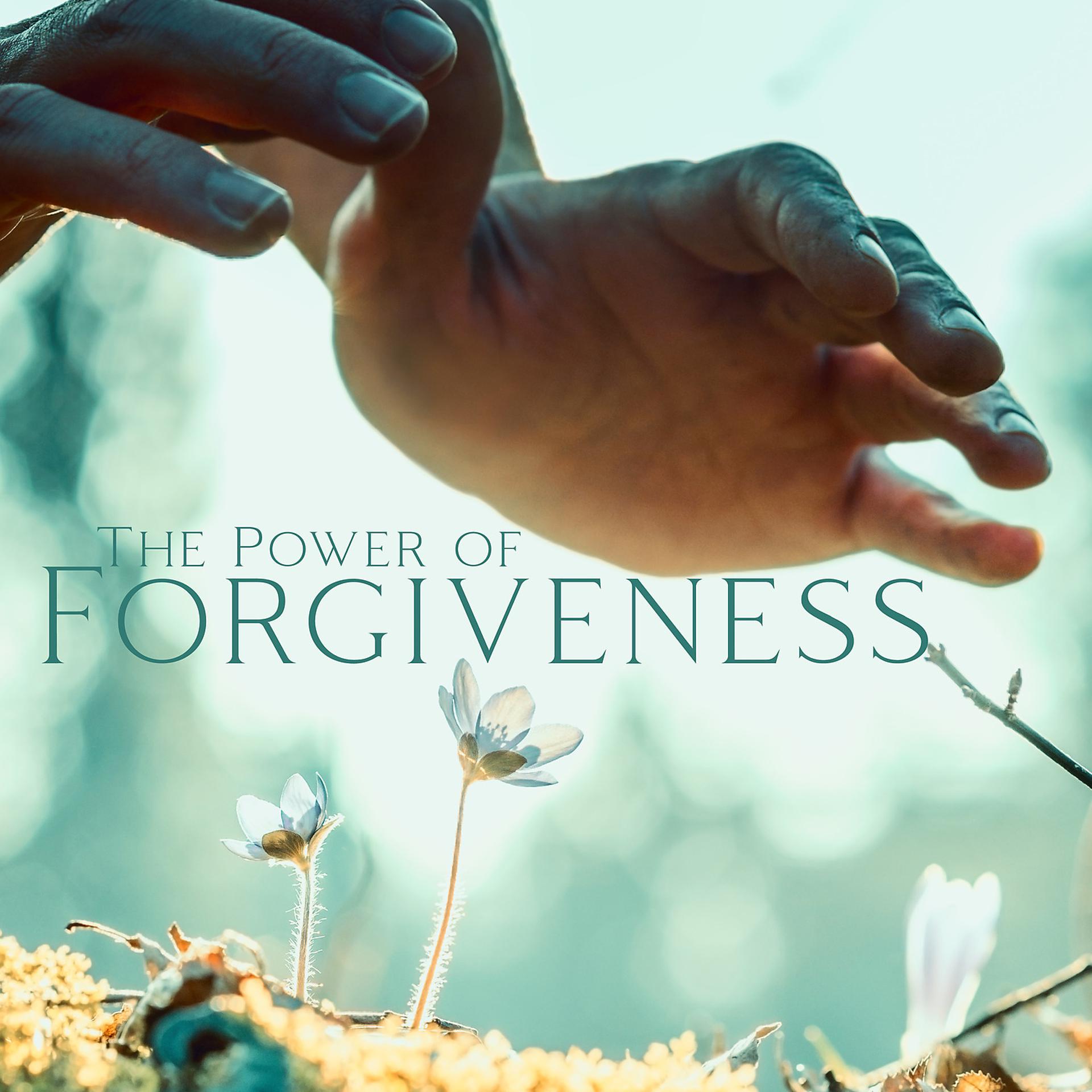 Постер альбома The Power of Forgiveness: Awareness Meditation, Stop Regretting and Live Now