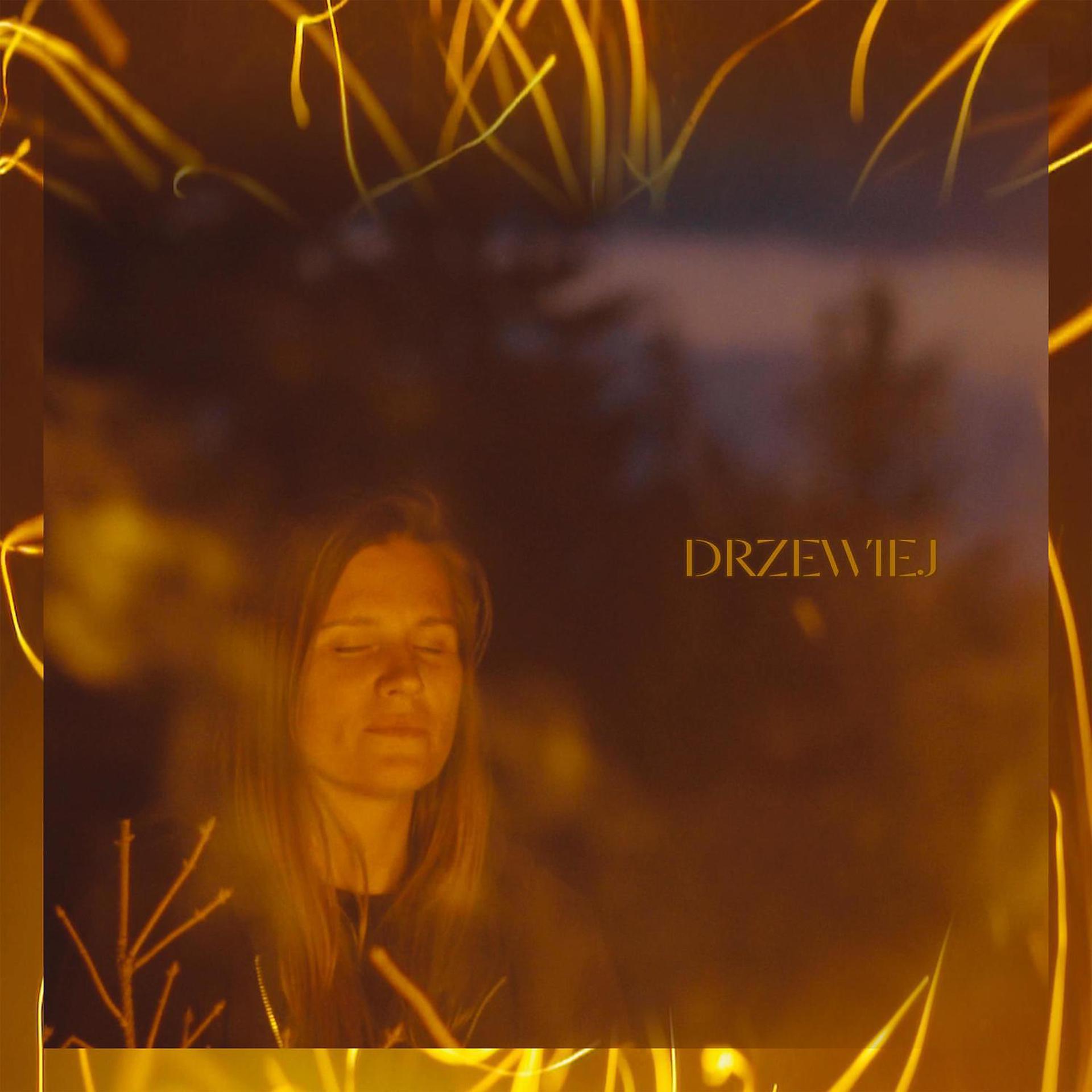Постер альбома Drzewiej